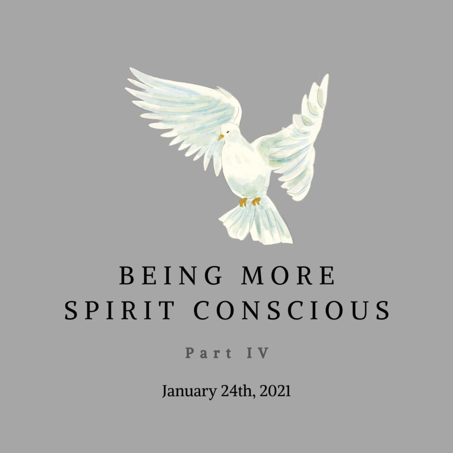 The Sermons of Pastor John W. Ekhardt