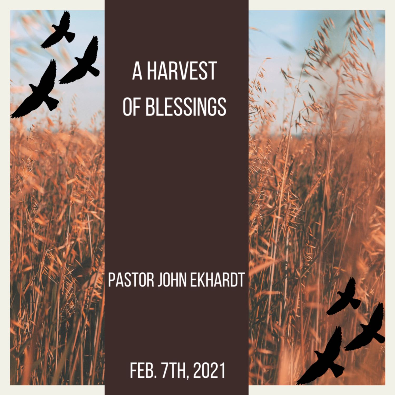 The Sermons of Pastor John W. Ekhardt