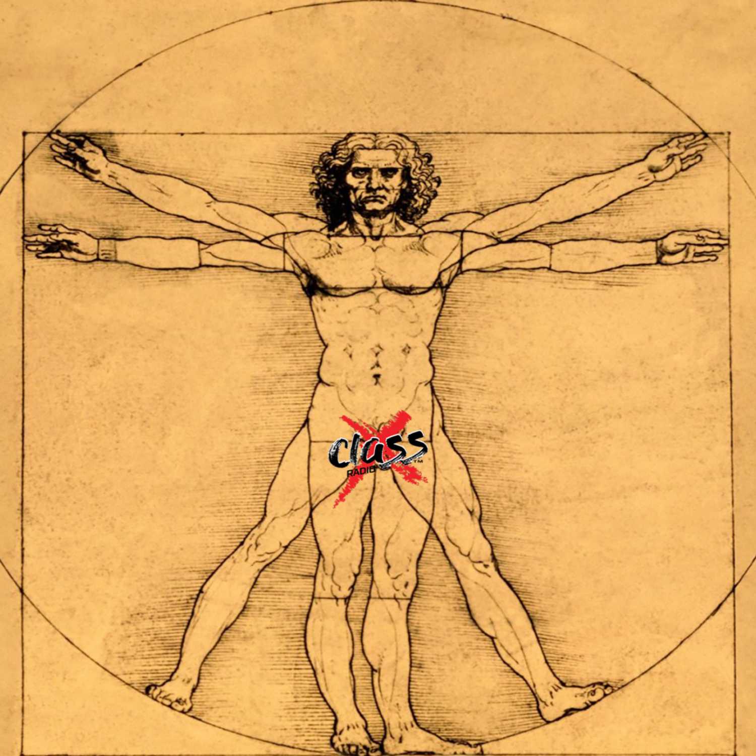 The Human Body: 02/24/21