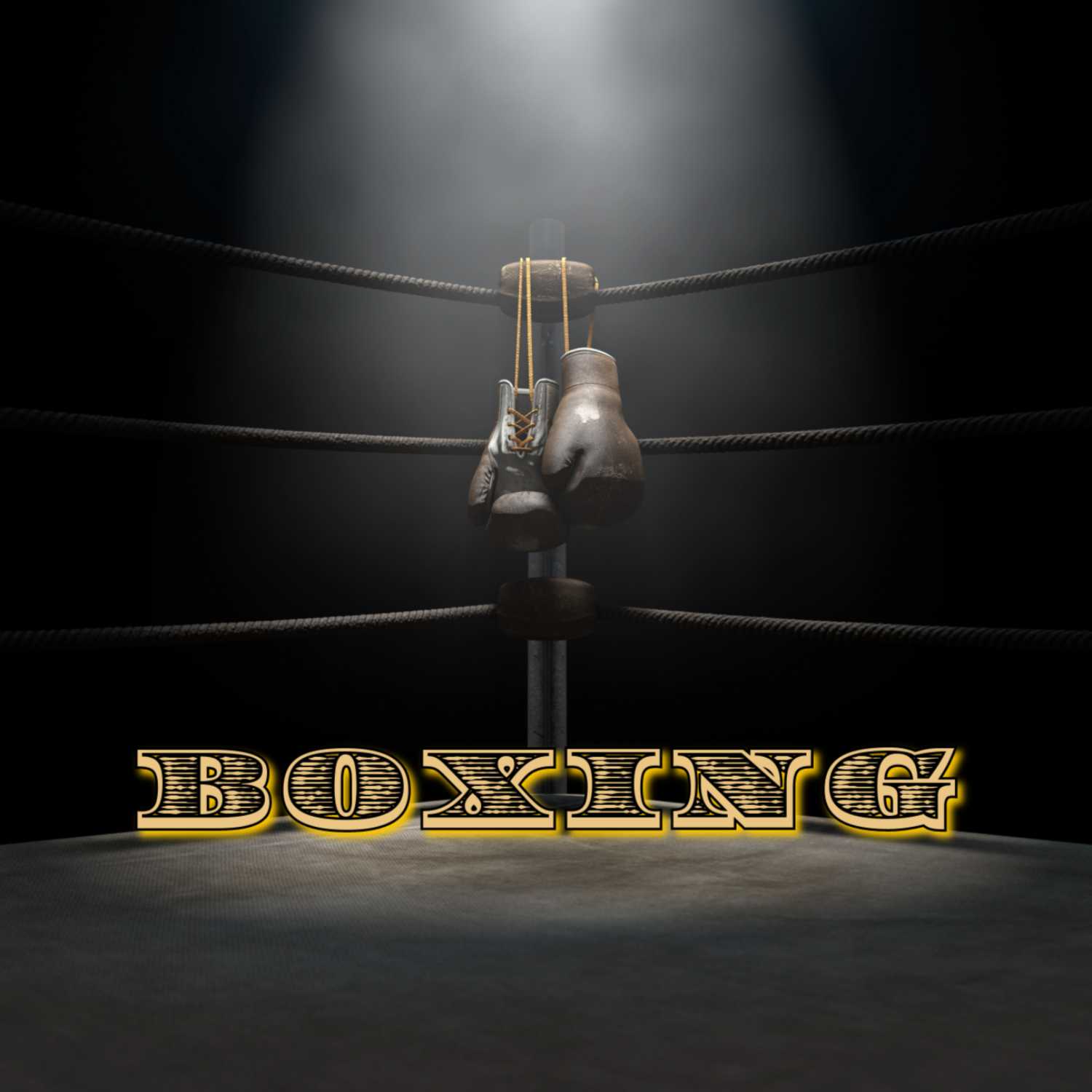 Boxing: 11/03/23
