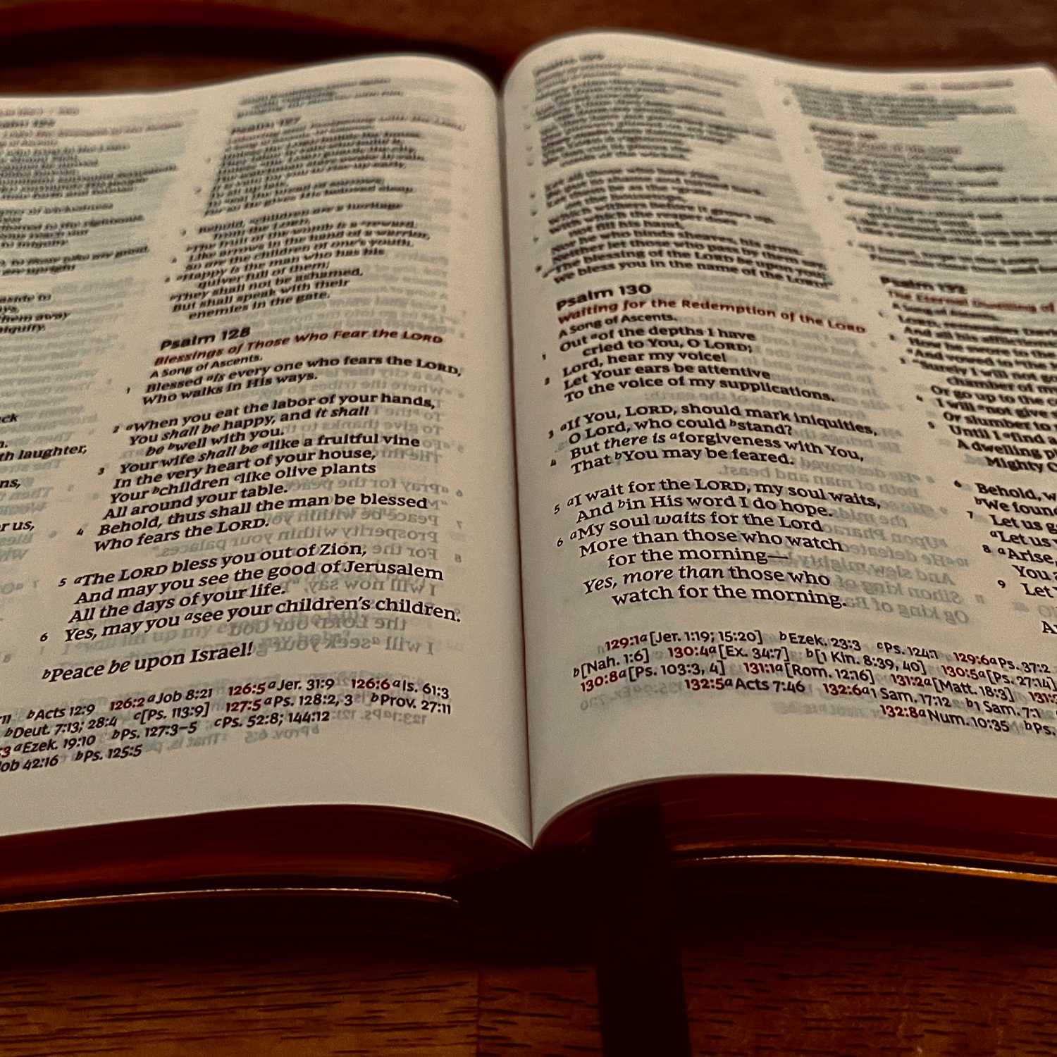 Psalm 1: Part 1 & 2 episode artwork