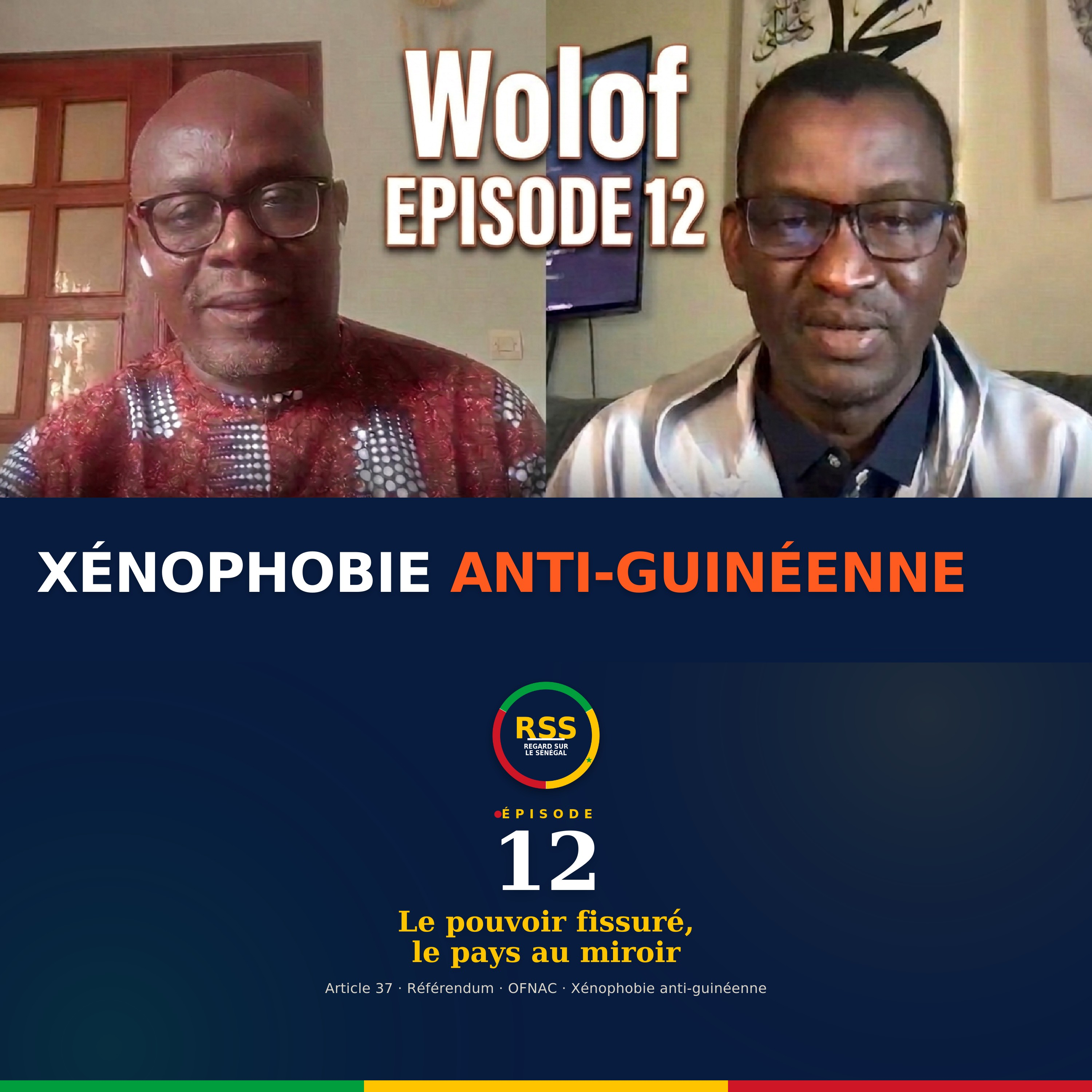 Sonko vs Mimi Touré, RÉFÉRENDUM sur l'article 37, Xénophobie anti-guinéenne