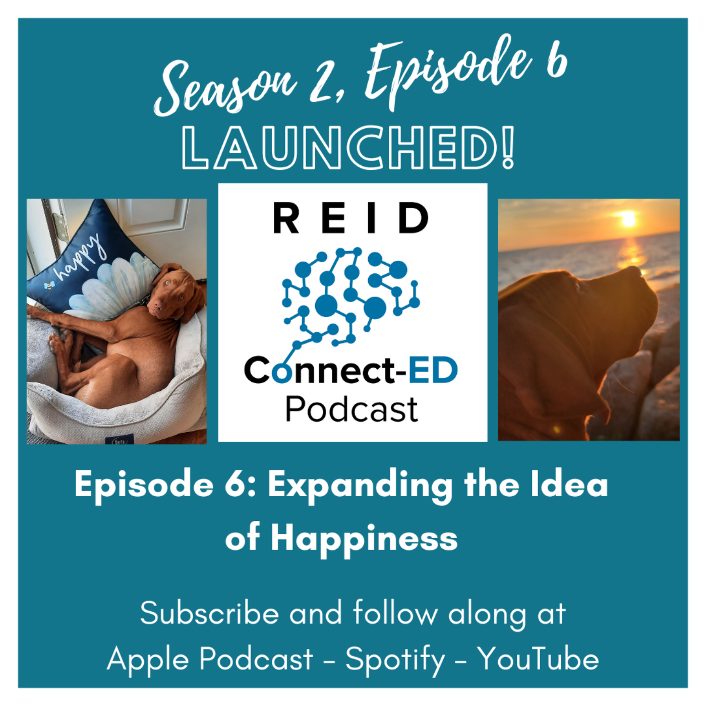 ReidConnect-ED
