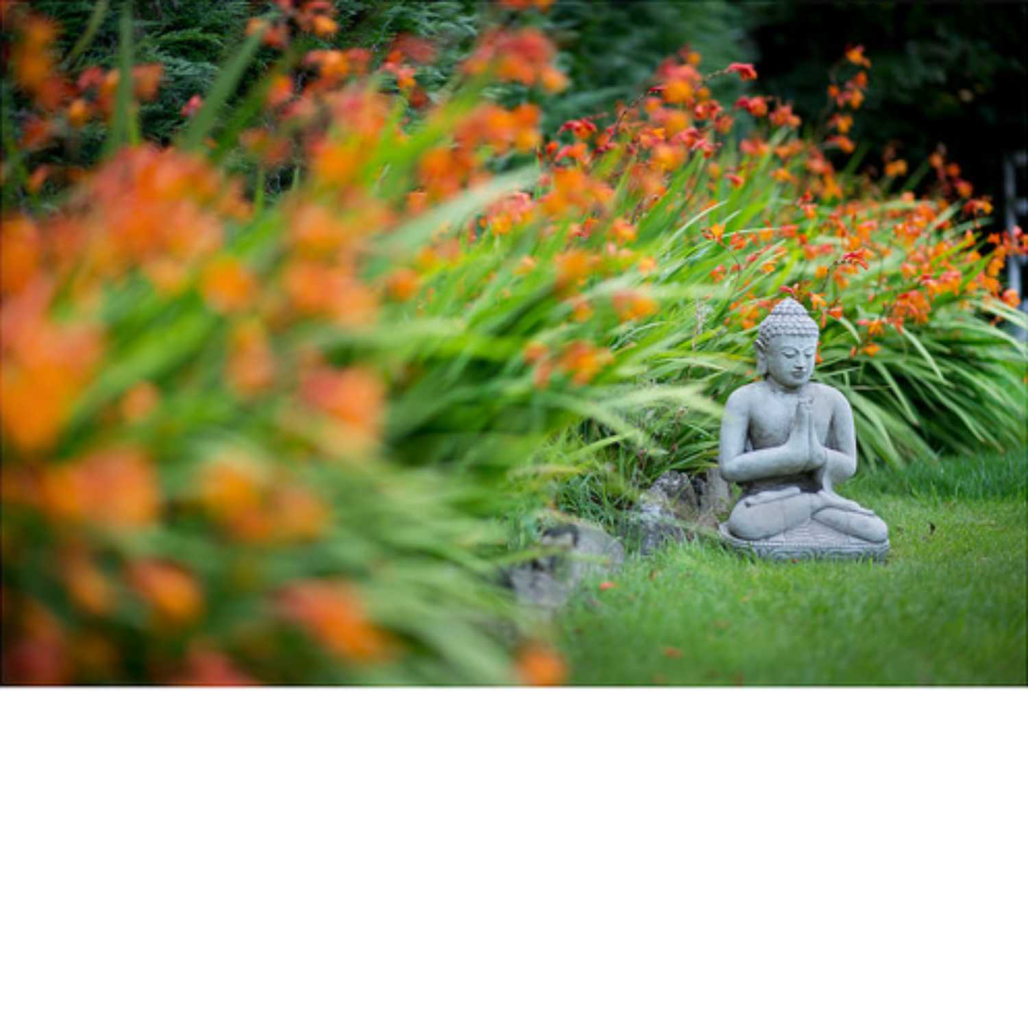 The Reiki Centre