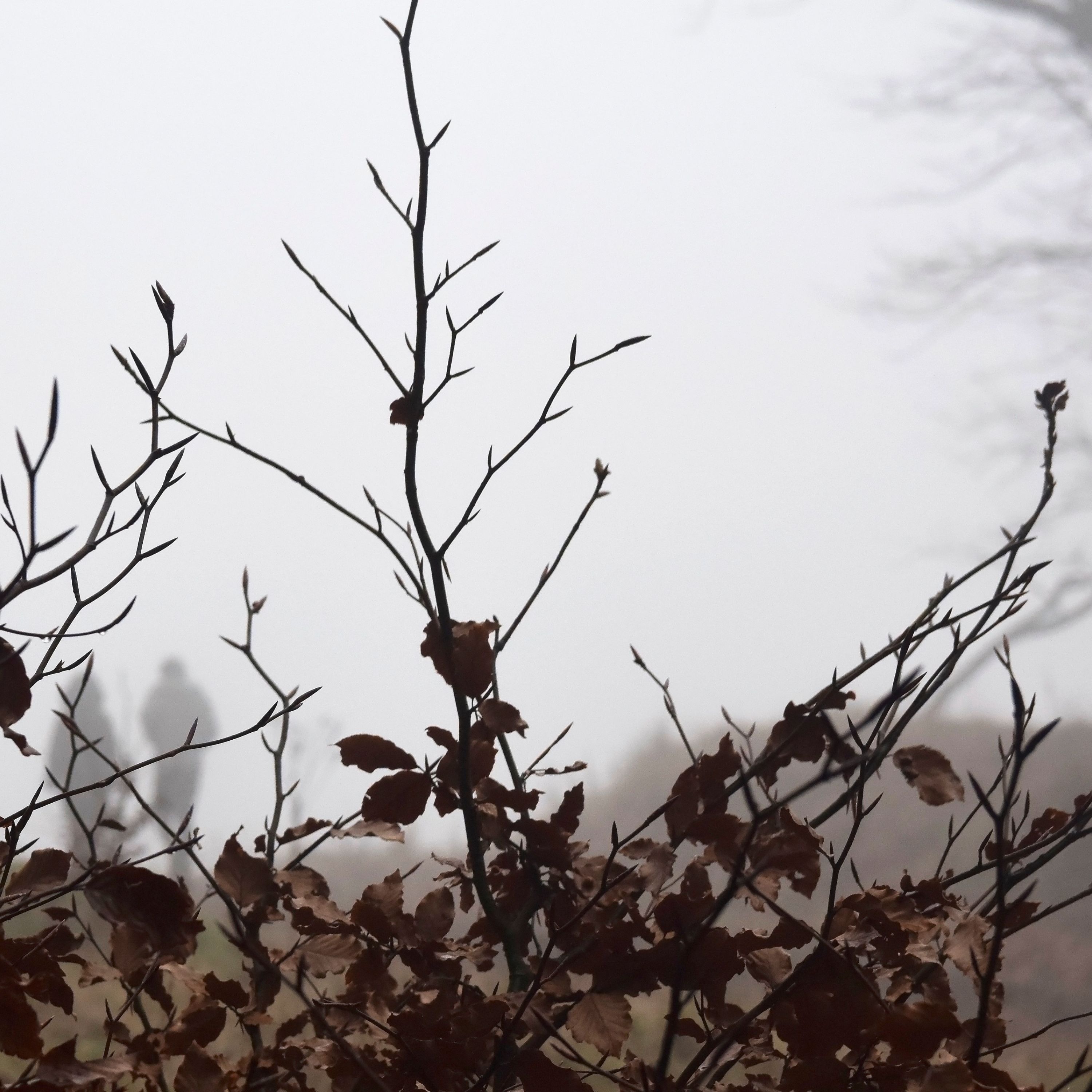 Vanished Without a Trace: The World’s Most Baffling Disappearances: