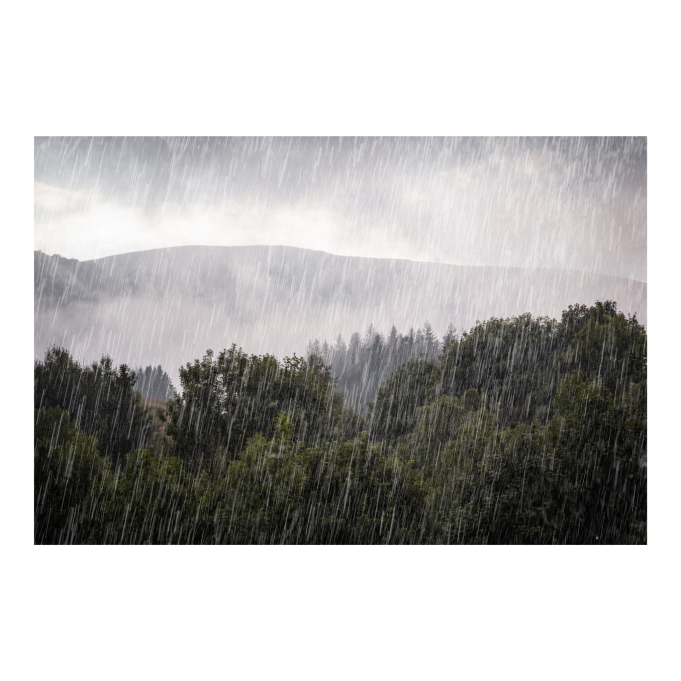 Relaxing Rain