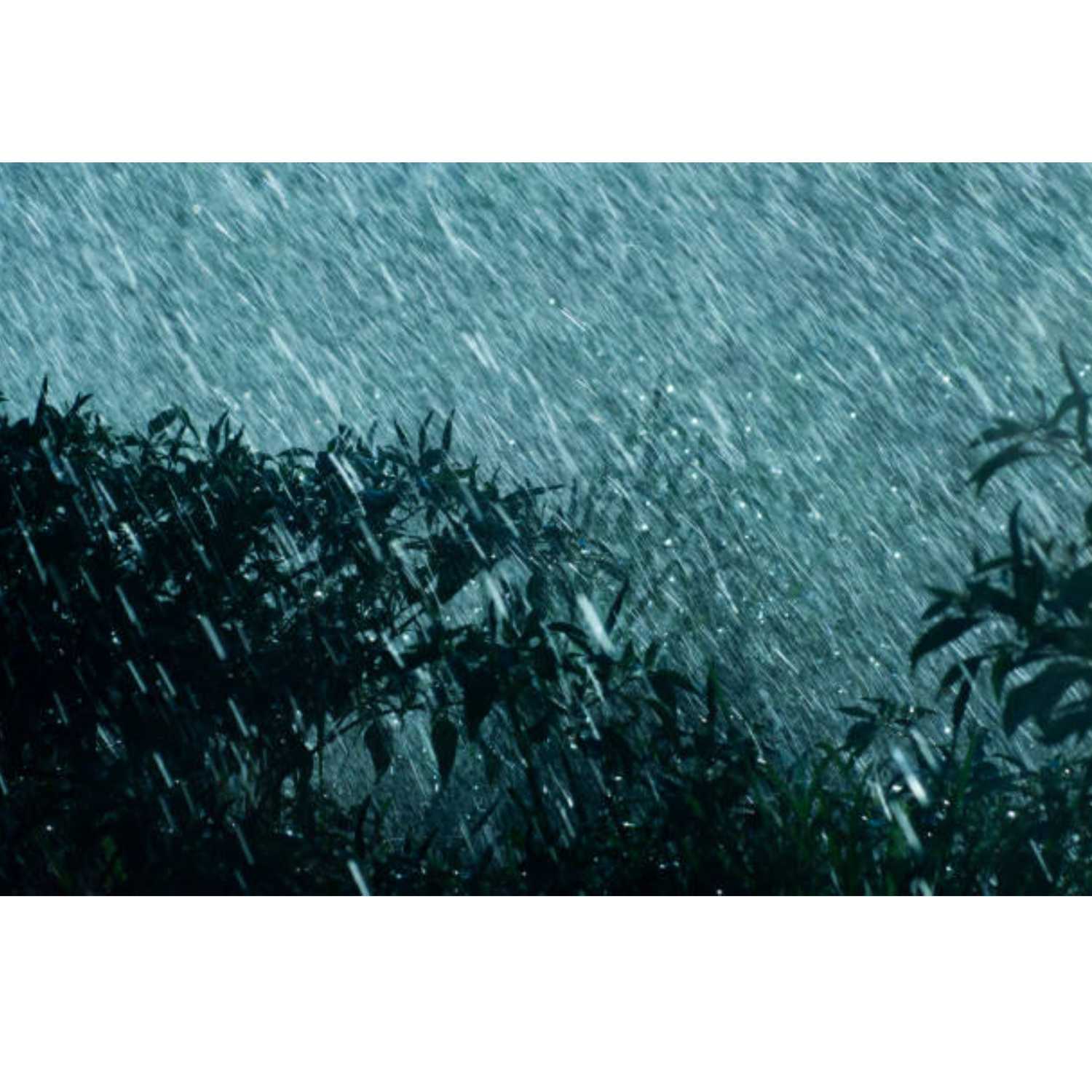 Rain and Thunder 1 hour