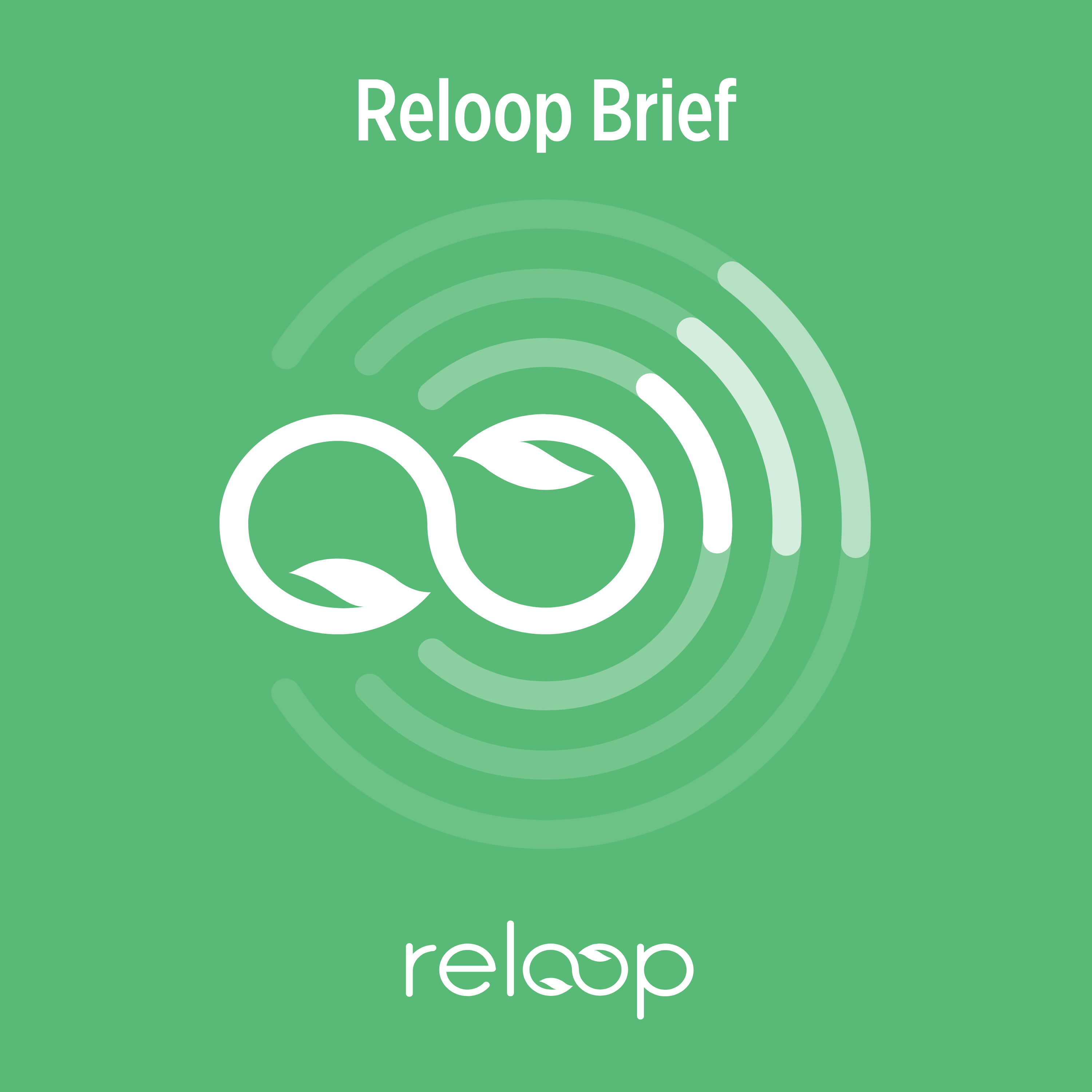 Reloop Brief