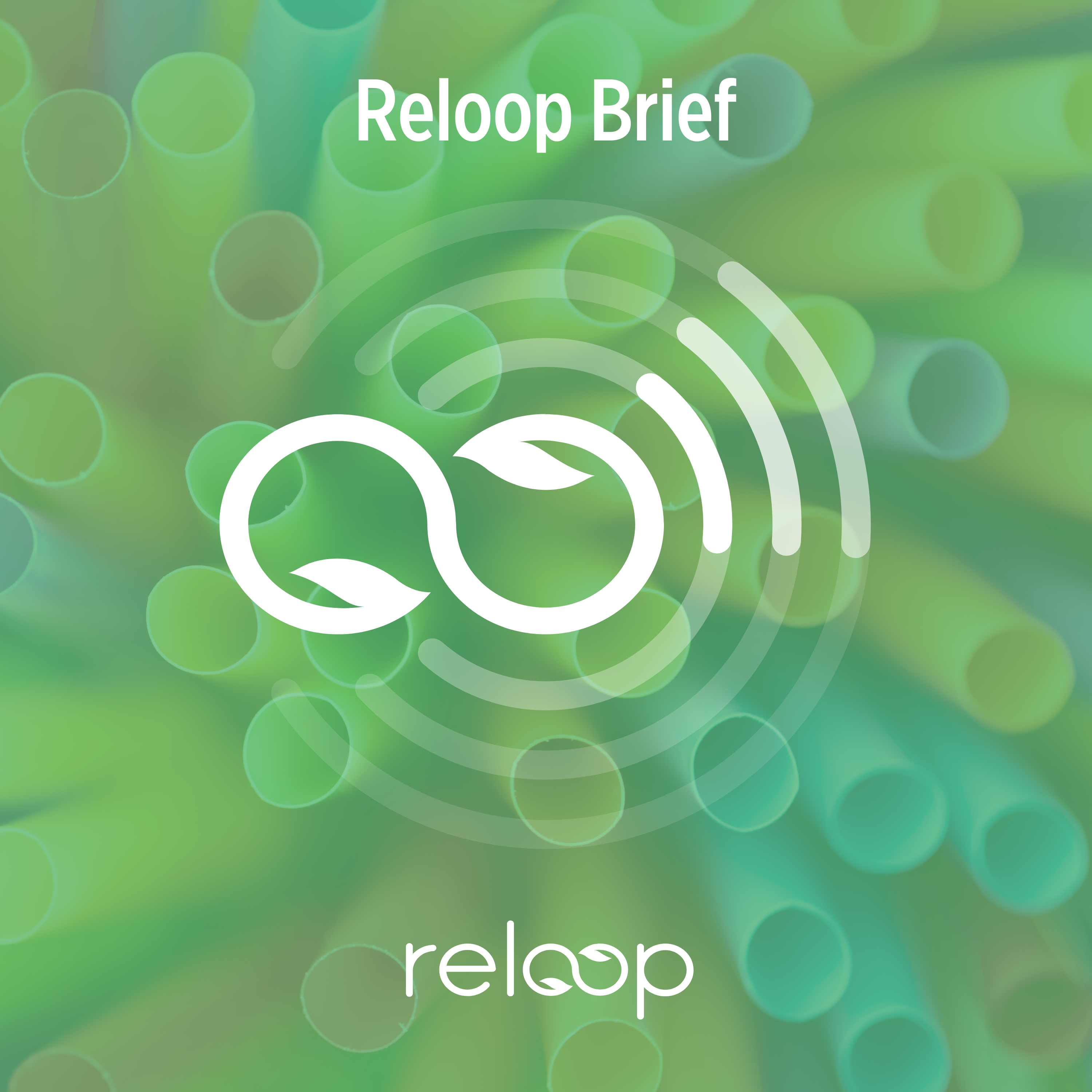 Reloop Brief