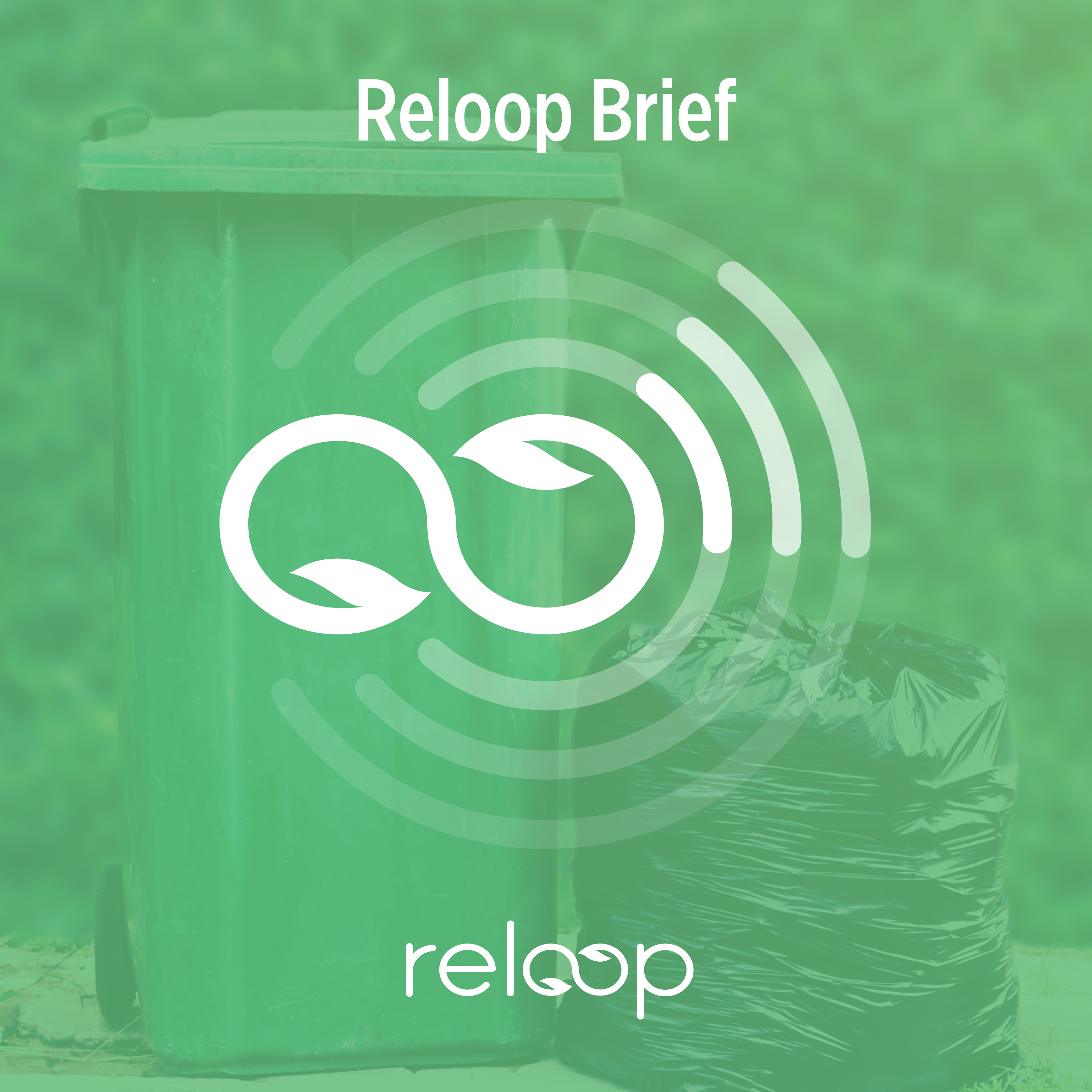 A brief look at Mixed Waste Sorting
