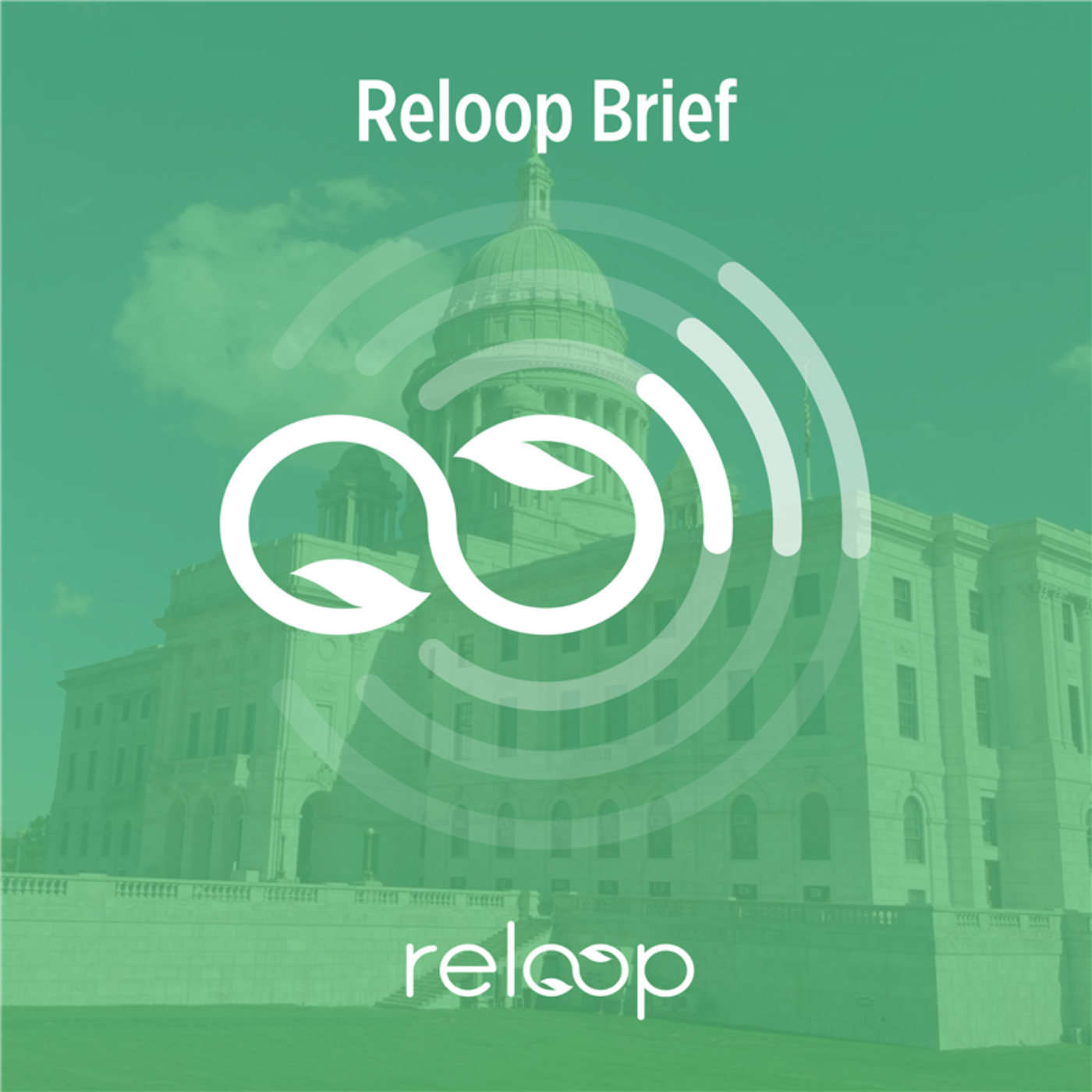 Reloop Brief