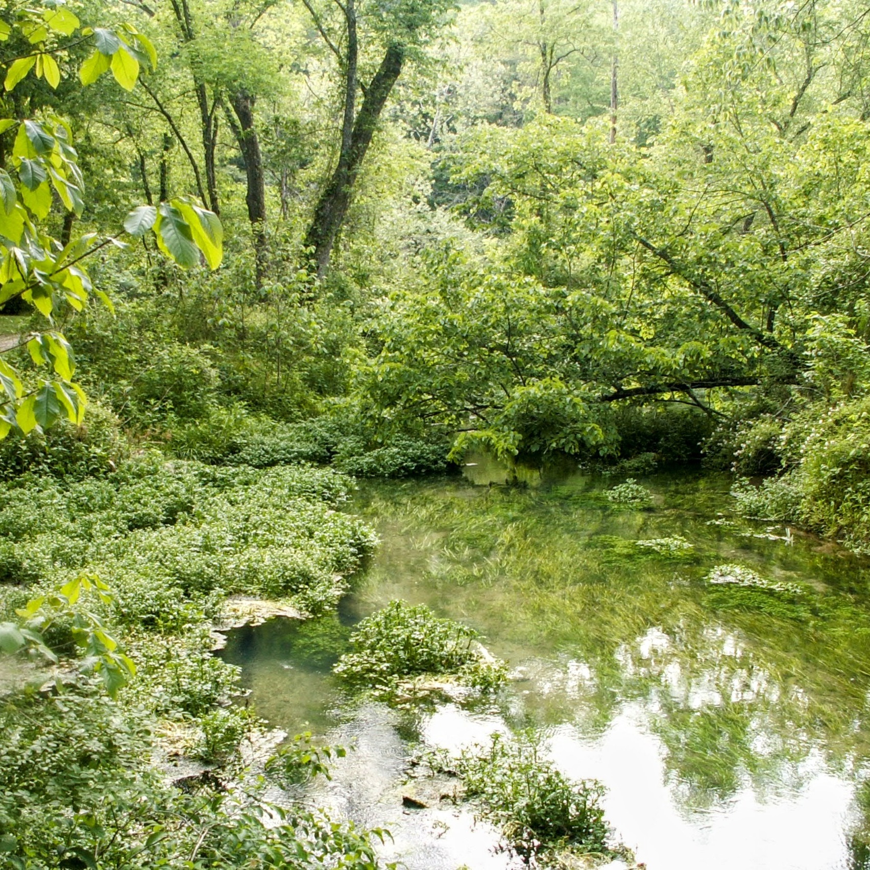 Have You Ever Wandered About Natural Springs, Wild Caves, & Much More! Then Follow Us Off the Beaten  Path!