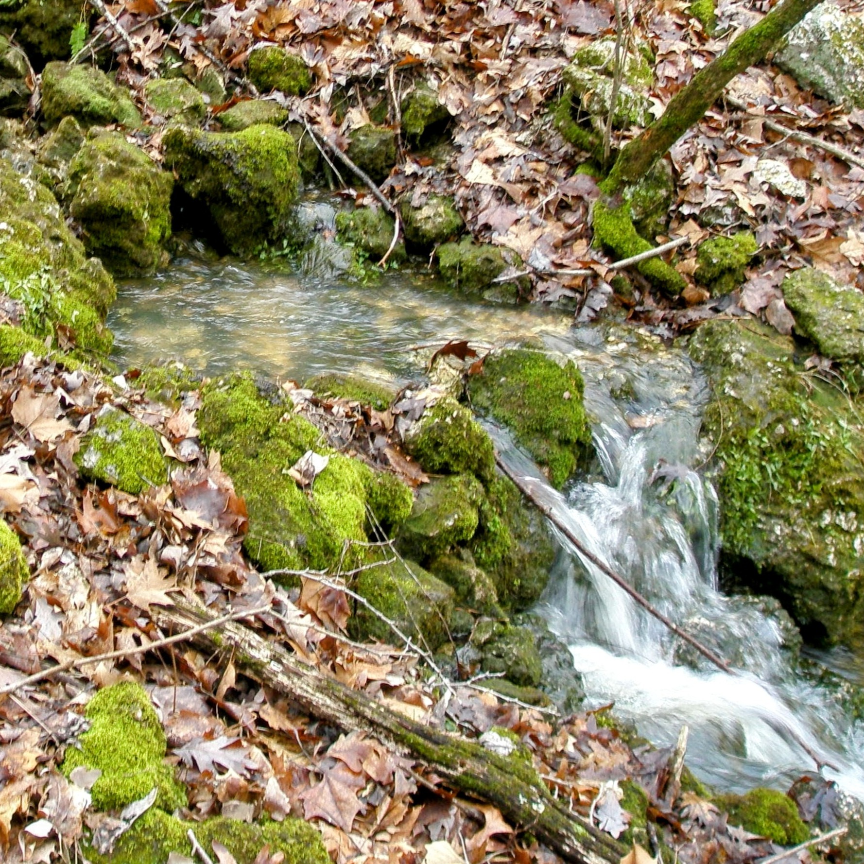 Natural Springs From All Over The World !