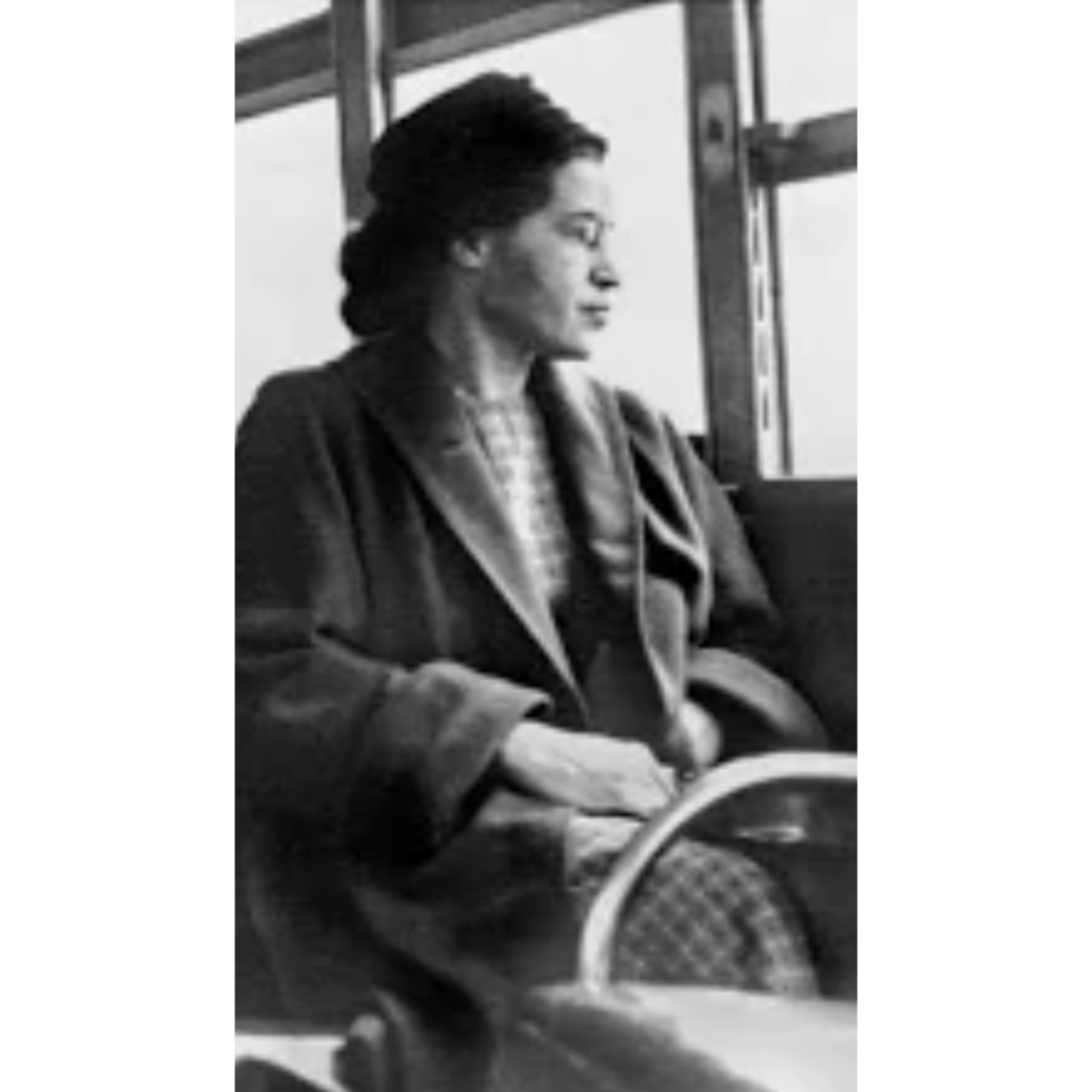 THE DAY I 'CROSSED PATHS' WITH MS. ROSA PARKS