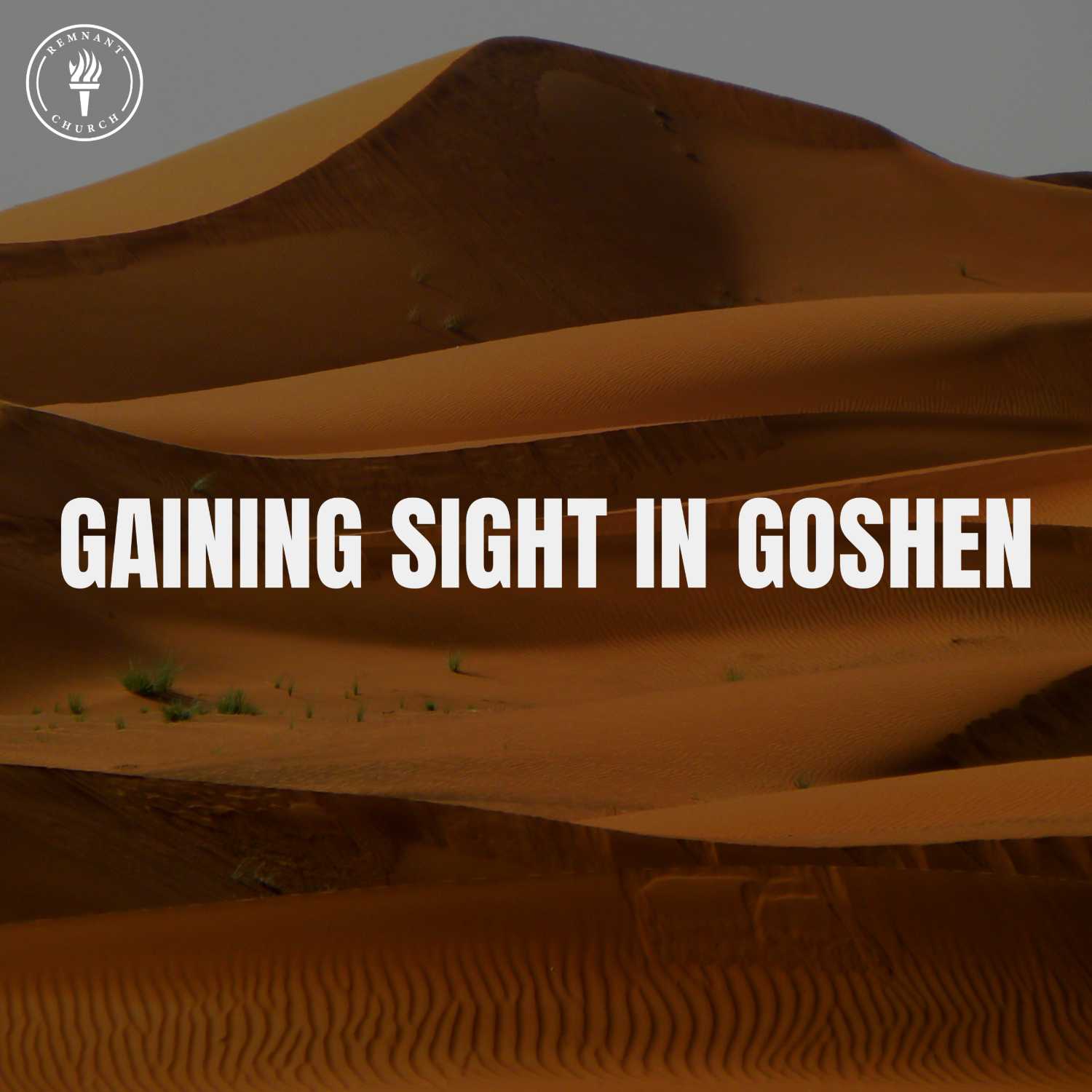 Gaining Sight in Goshen