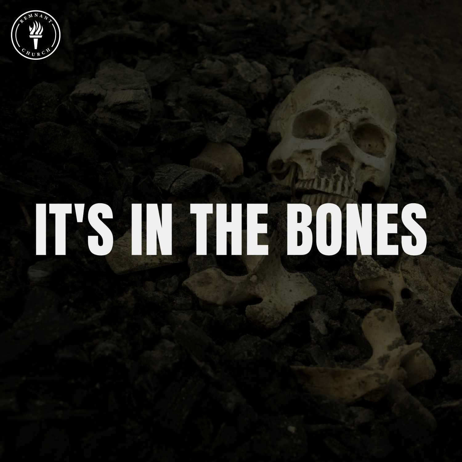 It's In The Bones