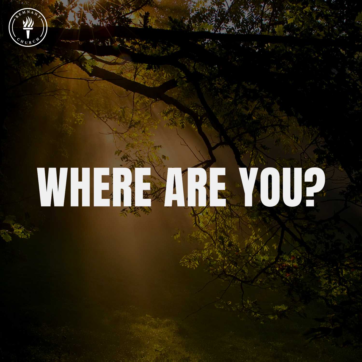 Where Are You?