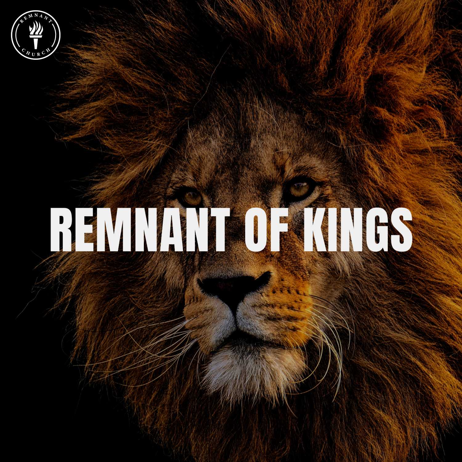 Remnant of Kings