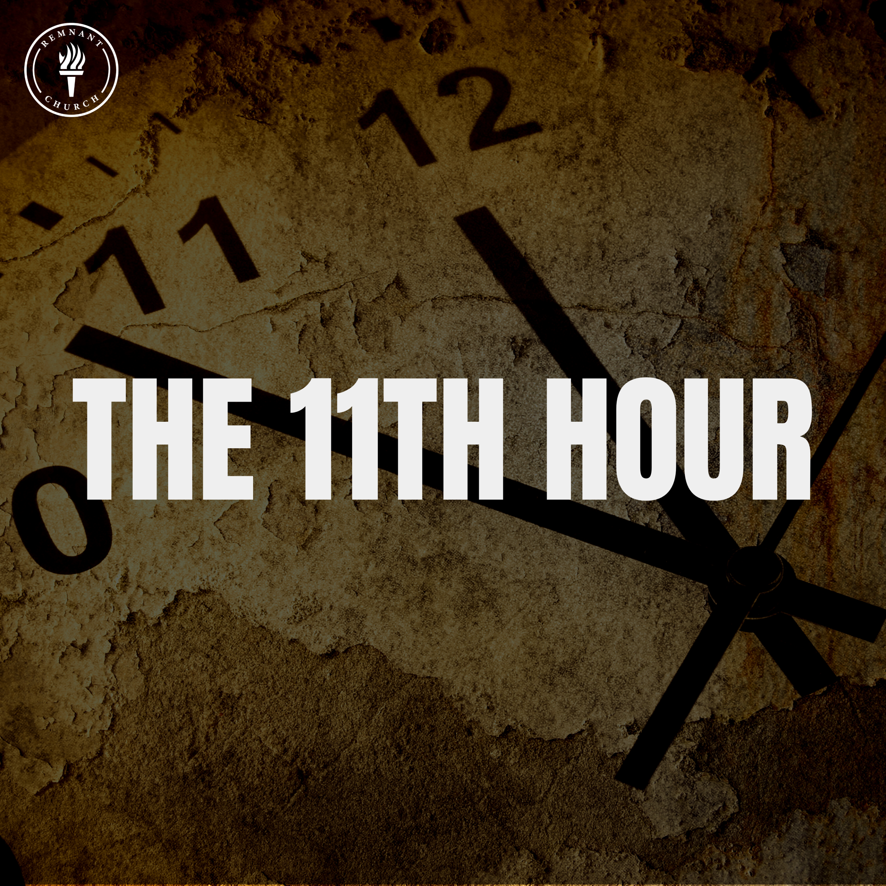 The 11th Hour 