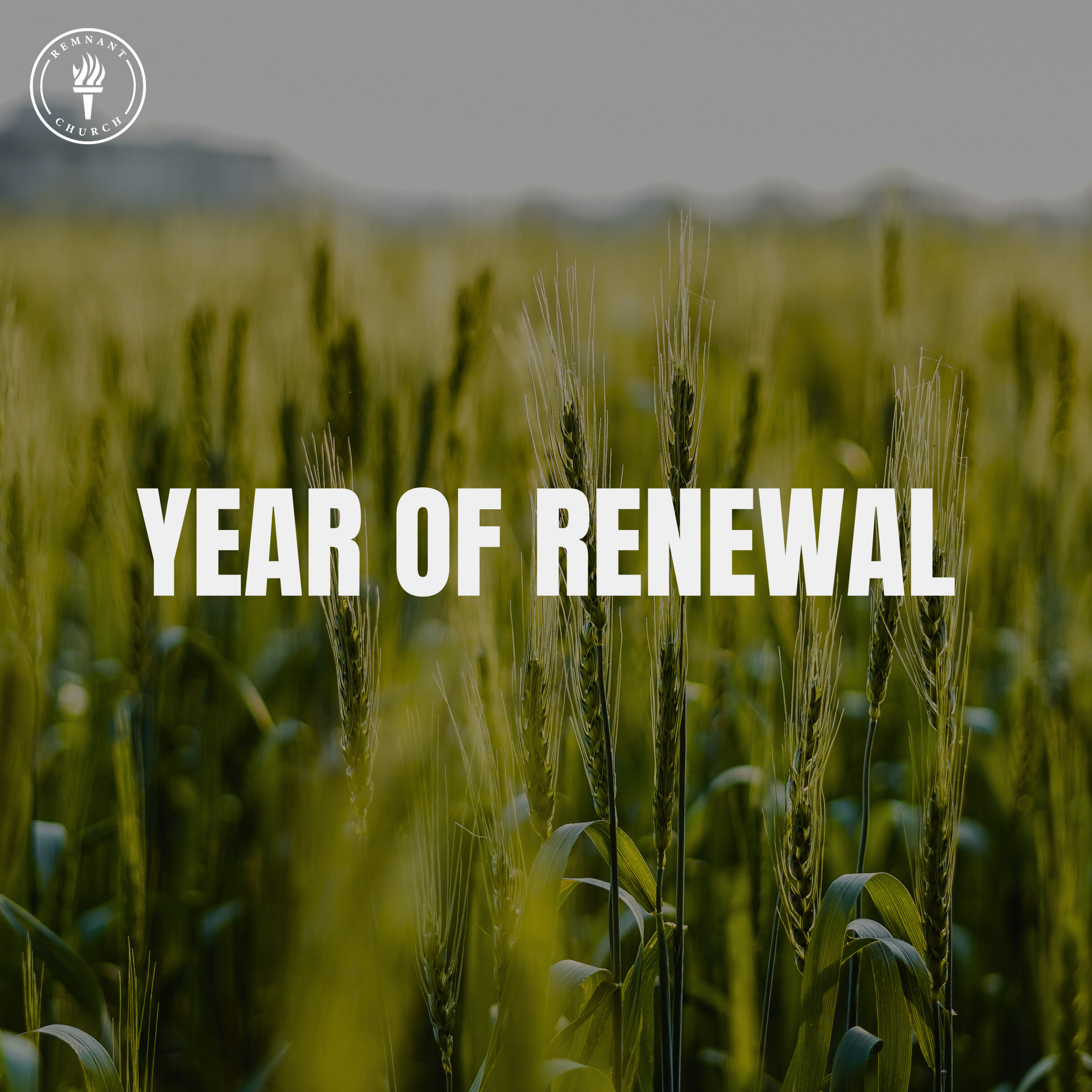 Year Of Renewal