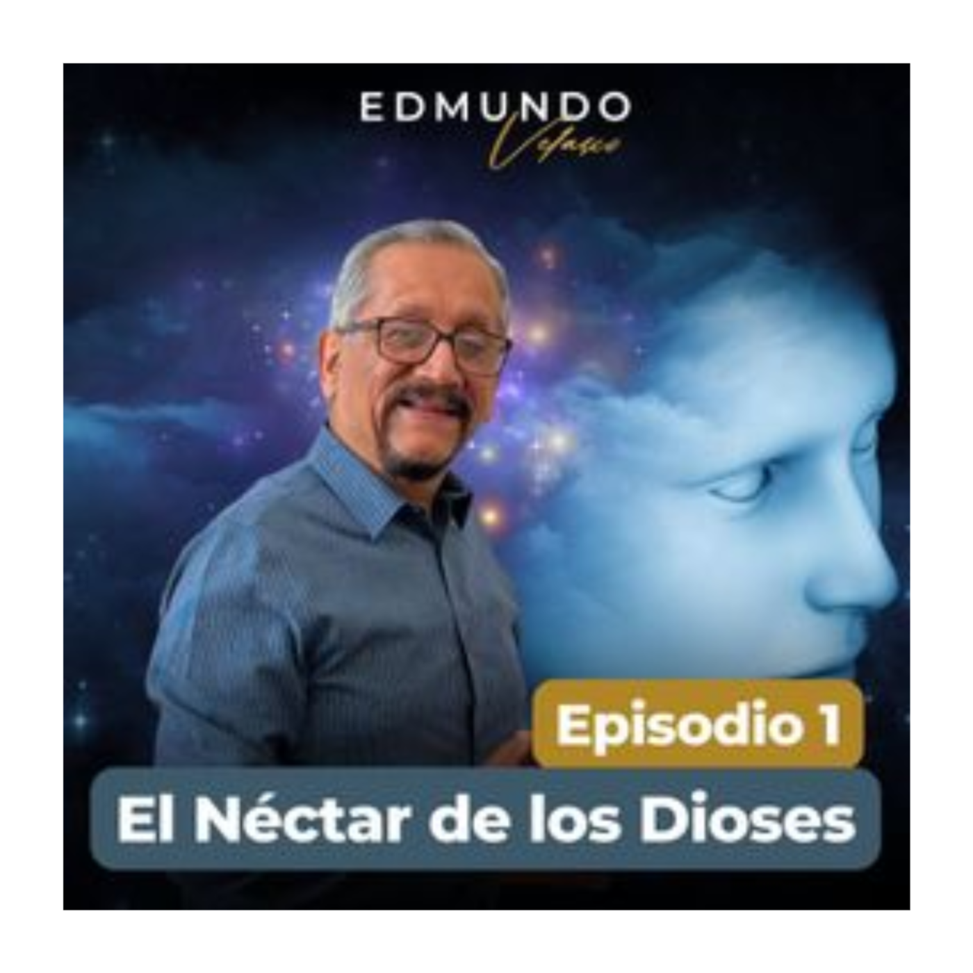 Introducción al Sistema de Renovación Total