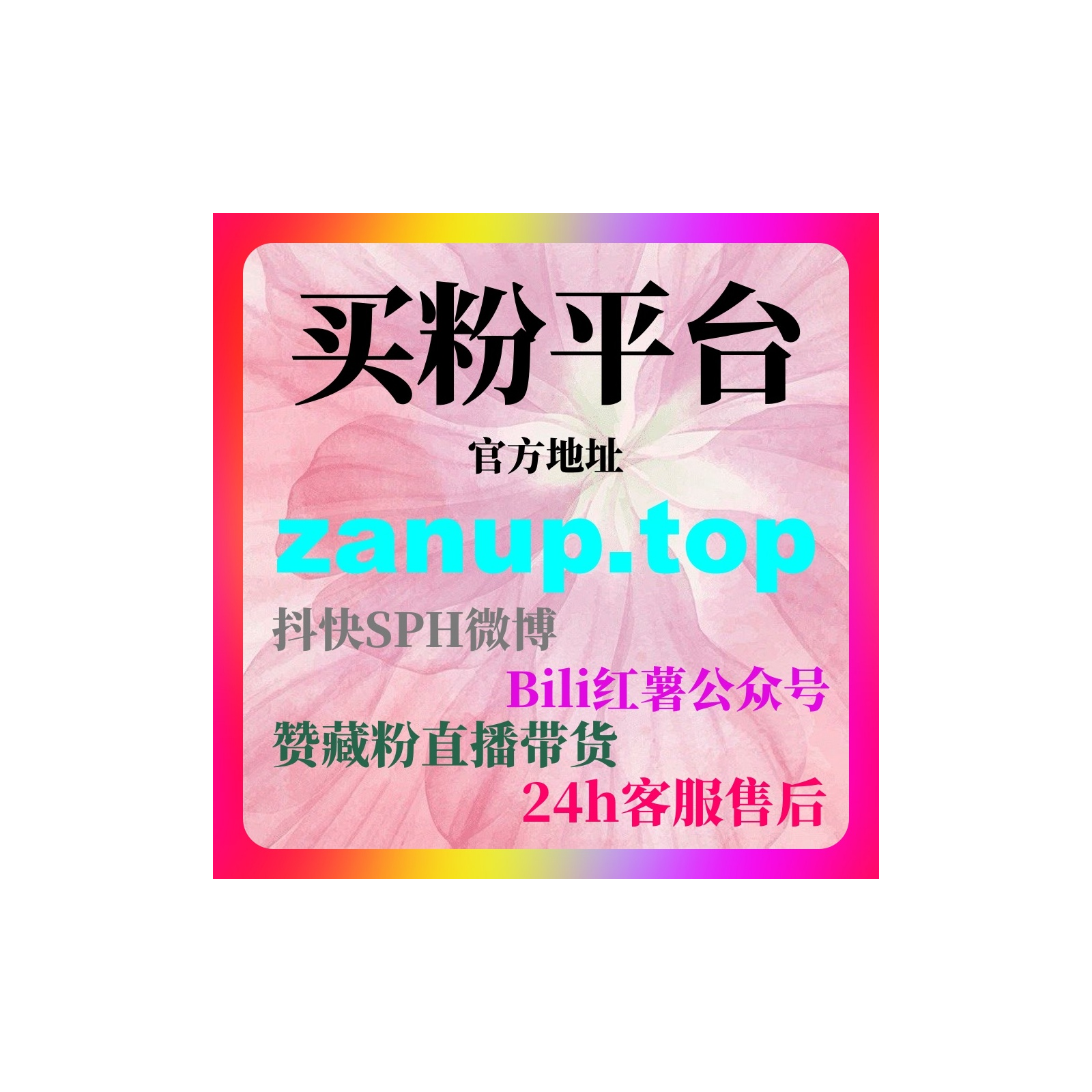 刷粉网，B站刷粉自助下单操作技巧，让UP主快速积累大量精准粉丝 episode artwork