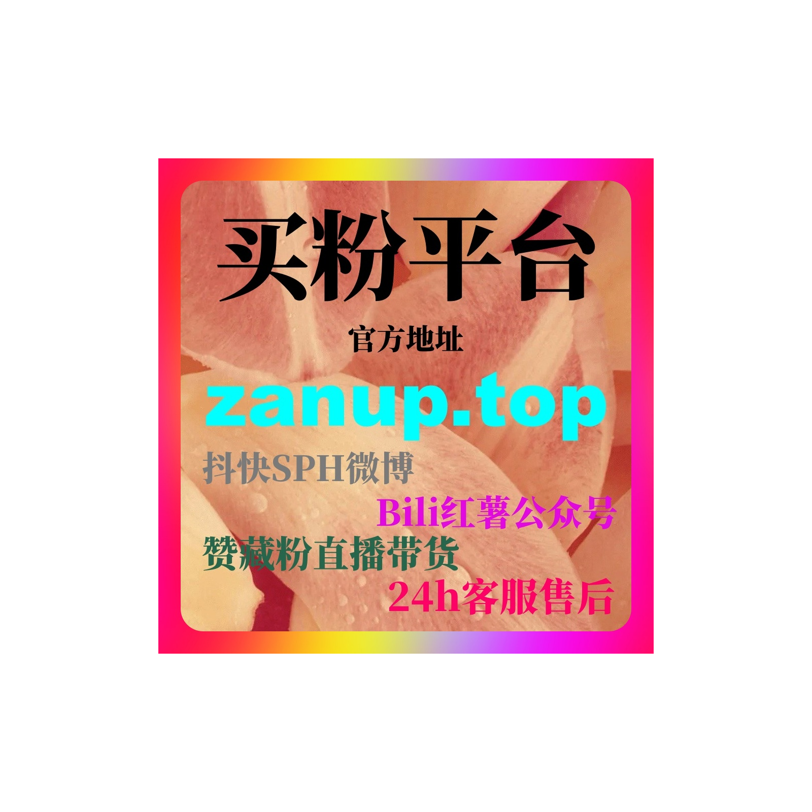 刷粉自助下单平台分享，让UP主轻松打造高活跃账号和推荐率大幅提高 episode artwork