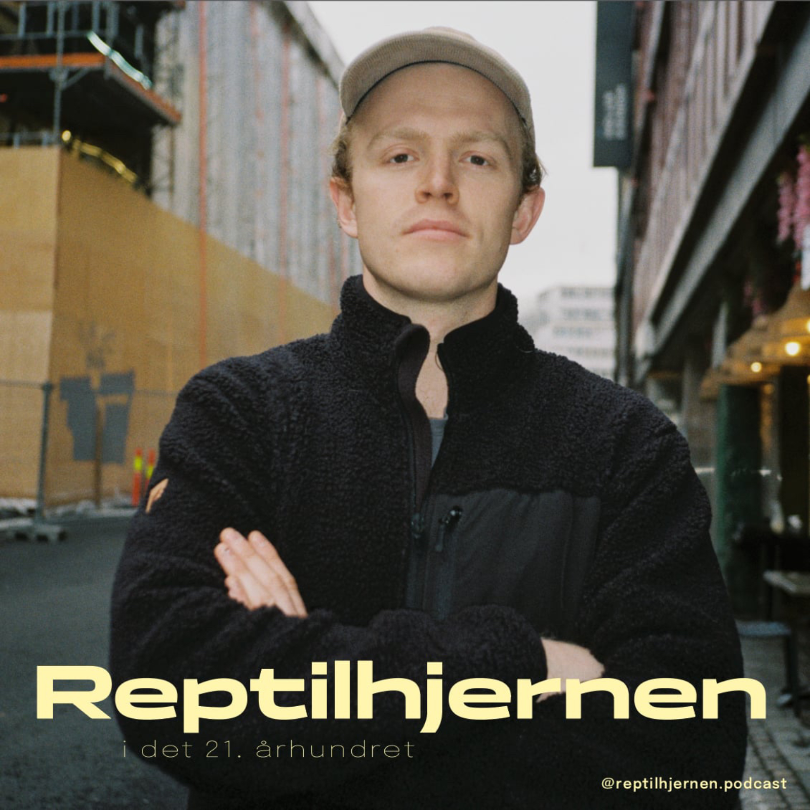 Reptilhjernen