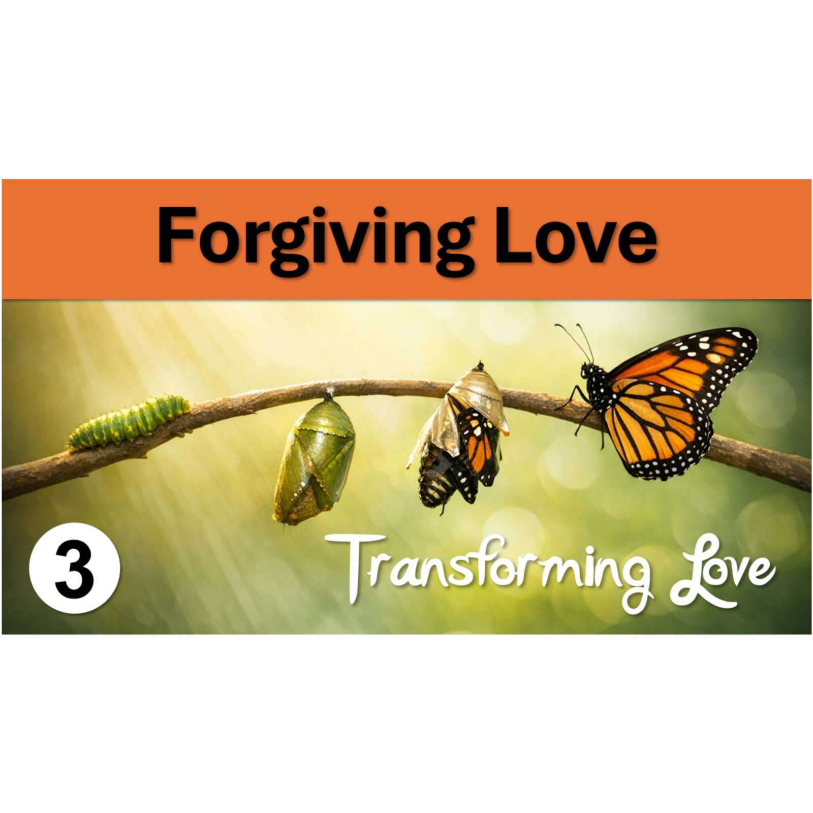 Forgiving Love | Transforming Love - Episode 3 episode artwork