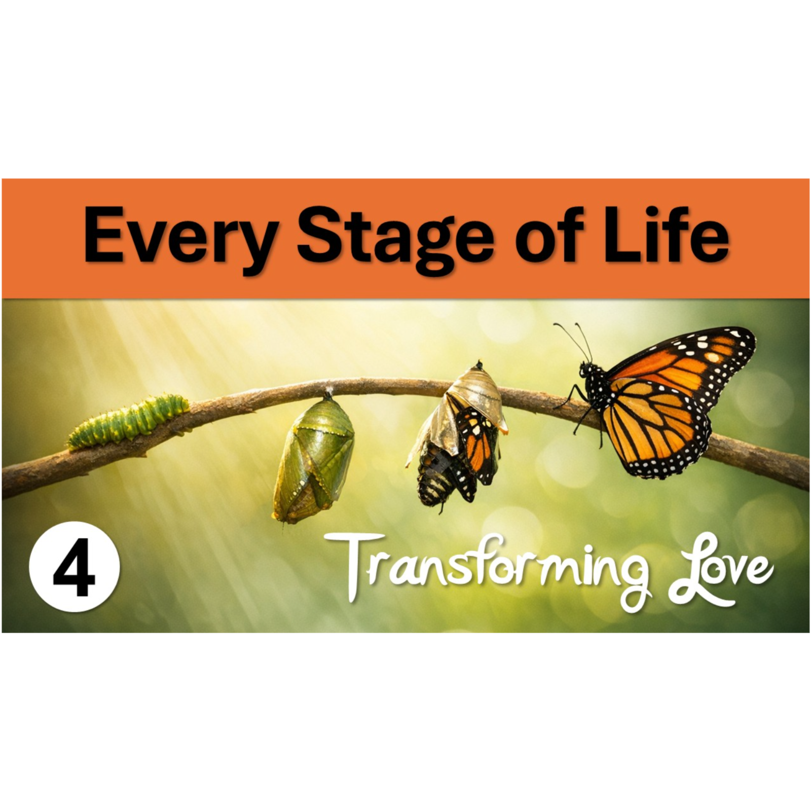 Every Stage of Life | Transforming Love - Episode 4 episode artwork