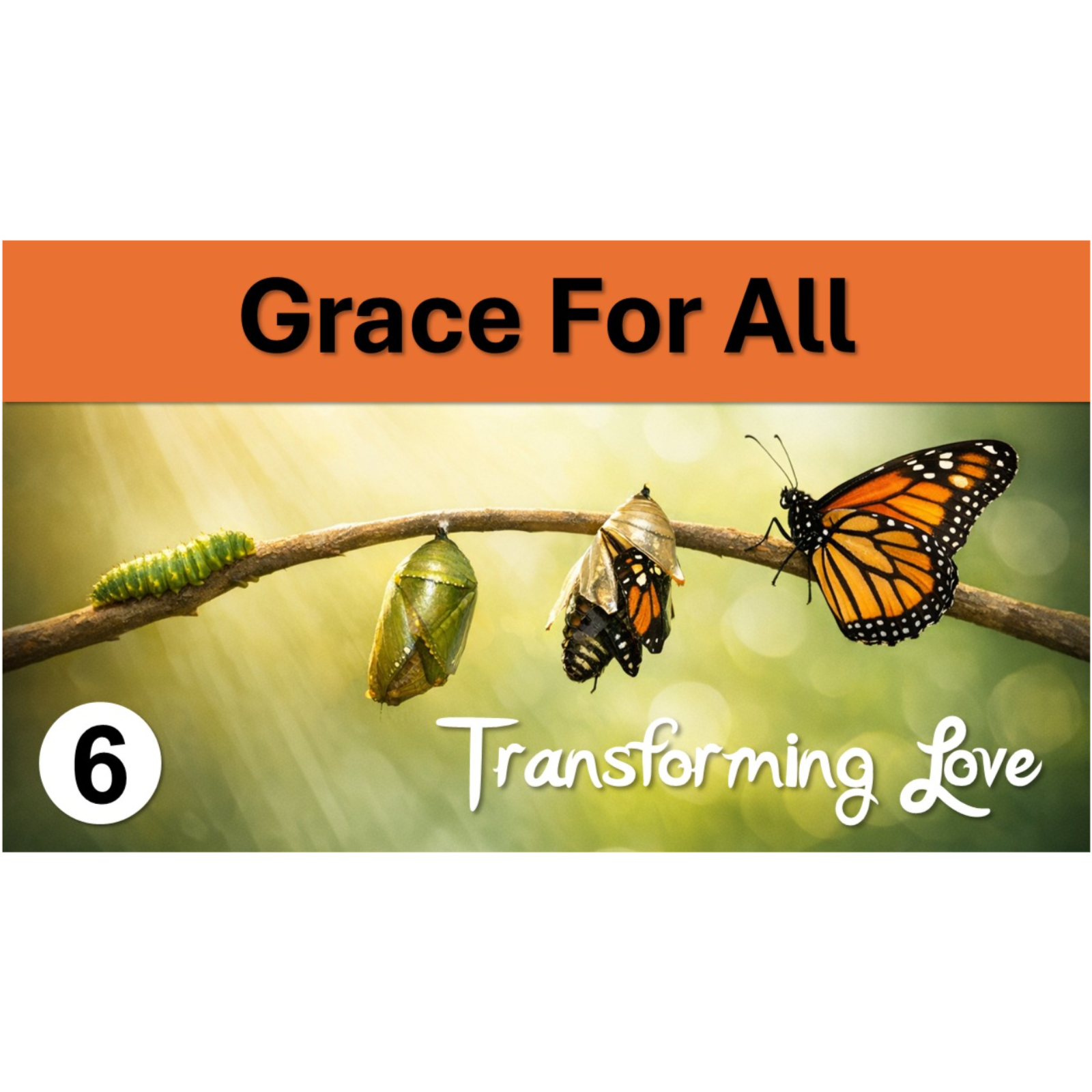 Grace Levels the Ground | Transforming Love - Episode 6 episode artwork