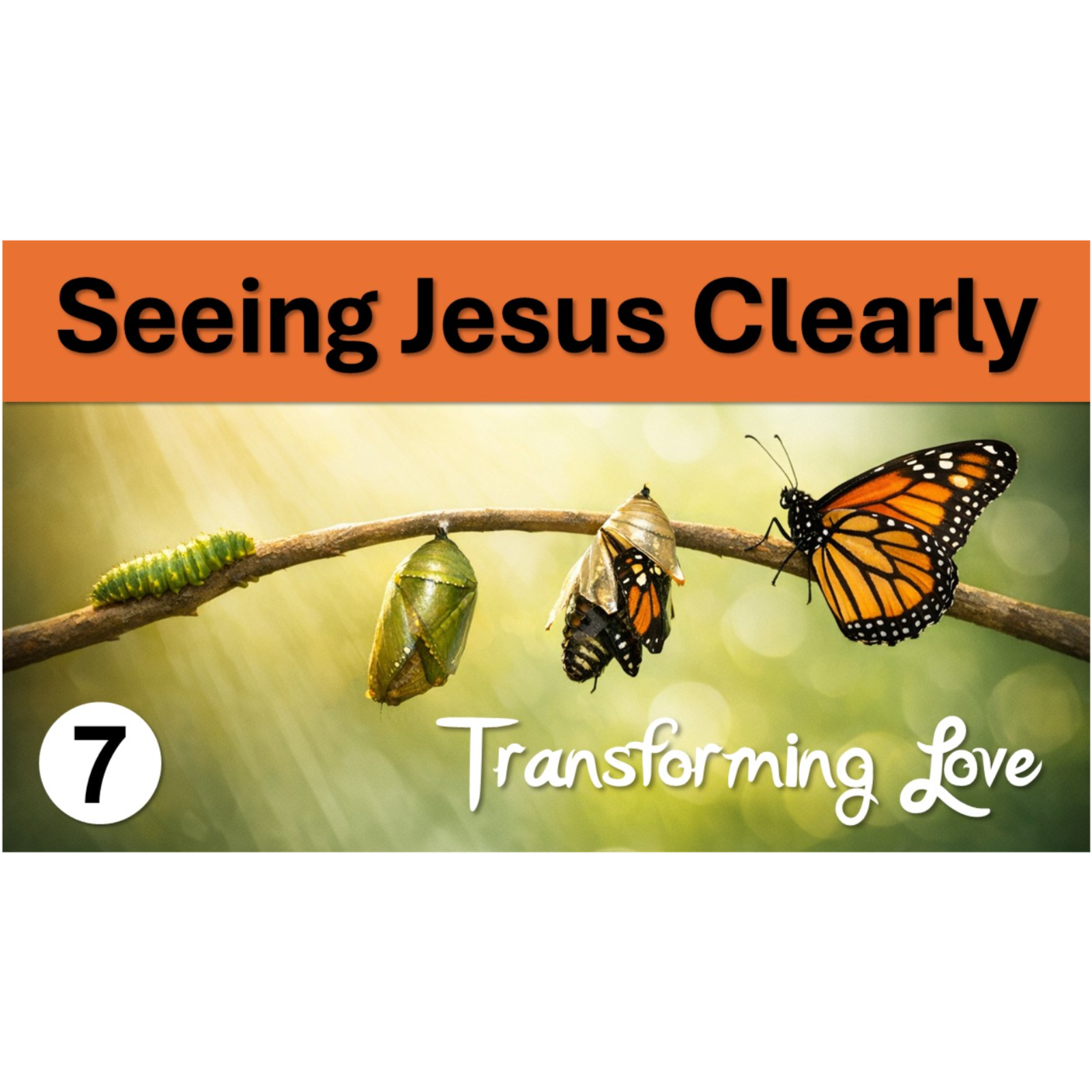 Seeing Jesus Clearly | Transforming Love - Episode 7 episode artwork