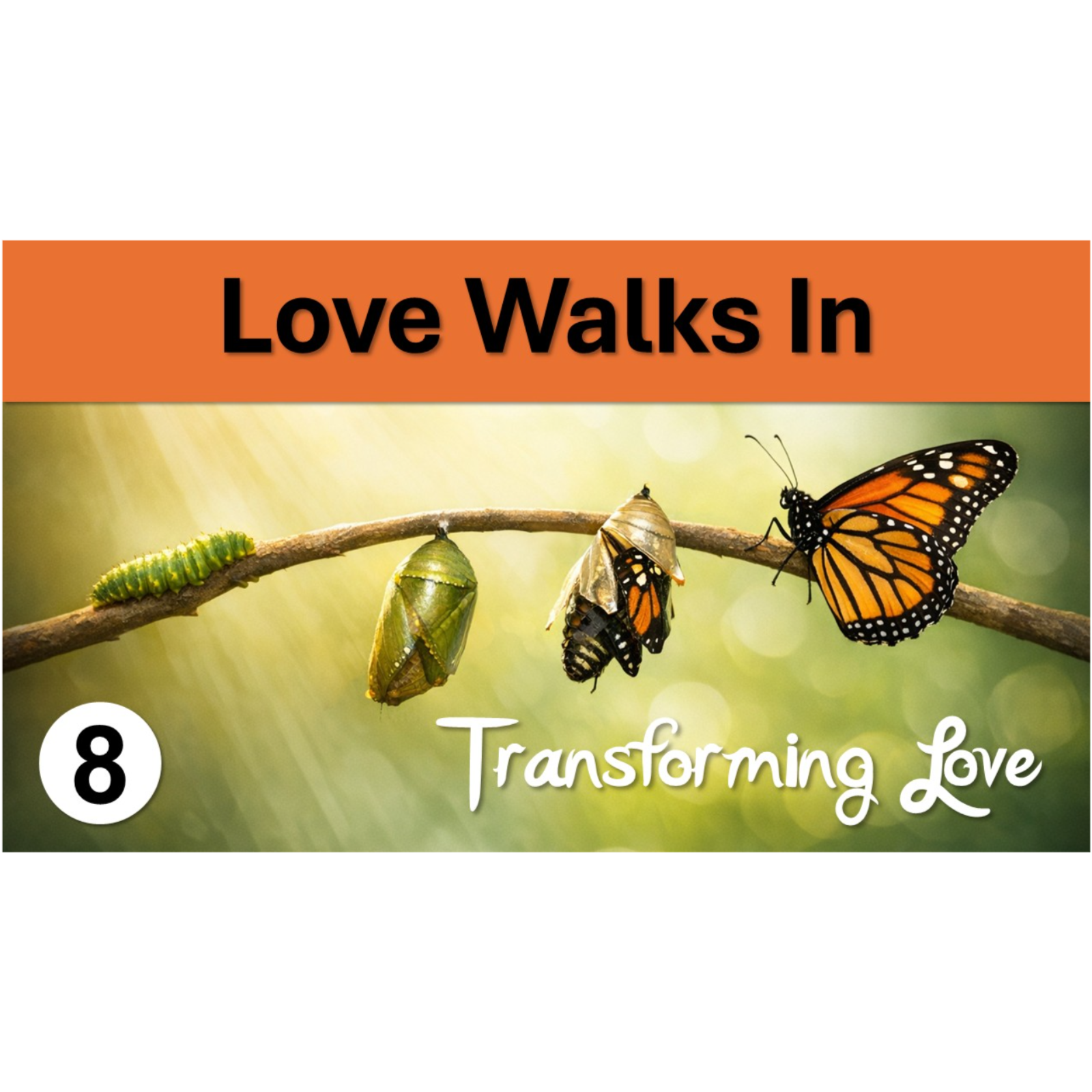 Love Walks In | Transforming Love - Episode 8 episode artwork