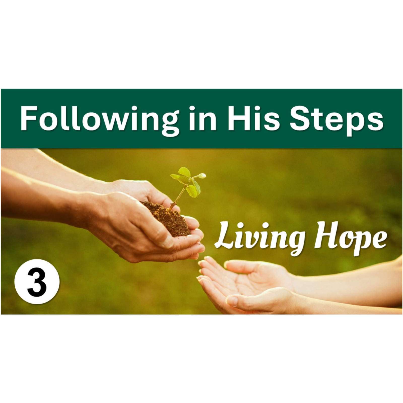 Following in His Steps | Living Hope - Episode 3 episode artwork