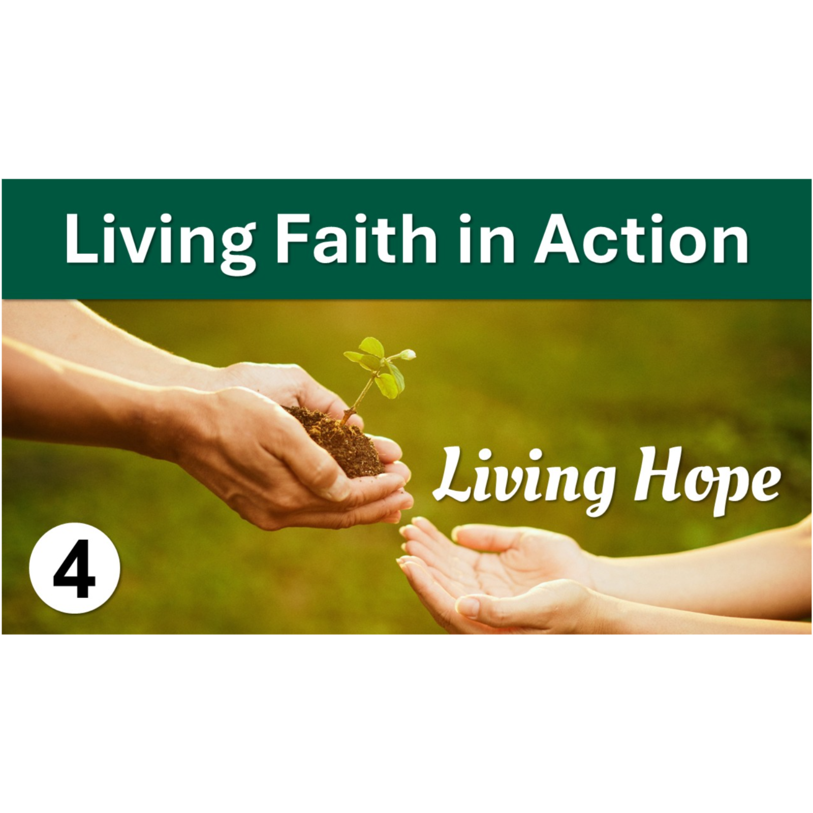 Living Faith in Action | Living Hope - Episode 4 episode artwork