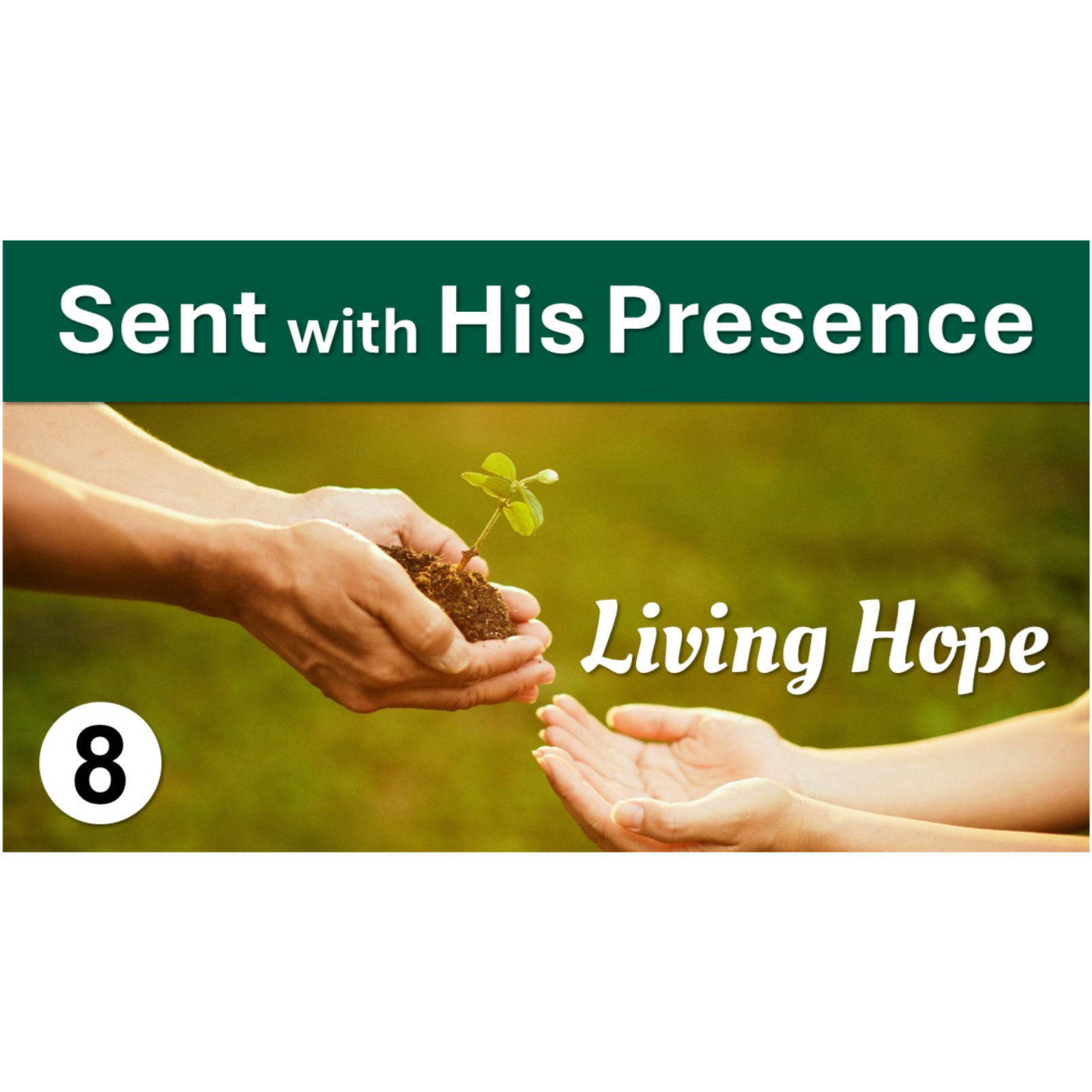 Sent with His Presence | Living Hope - Episode 8 (Trinity Sunday) episode artwork