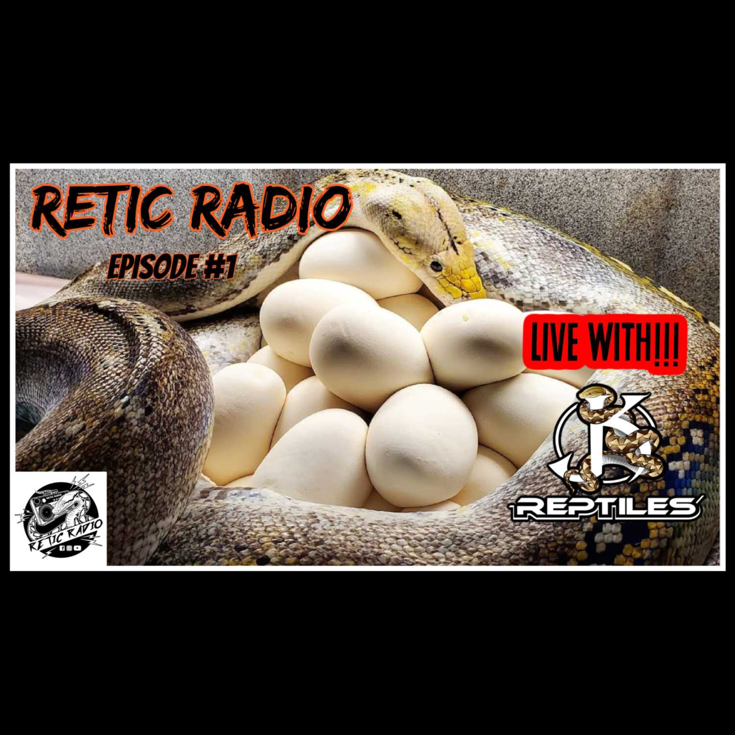 Retic Radio