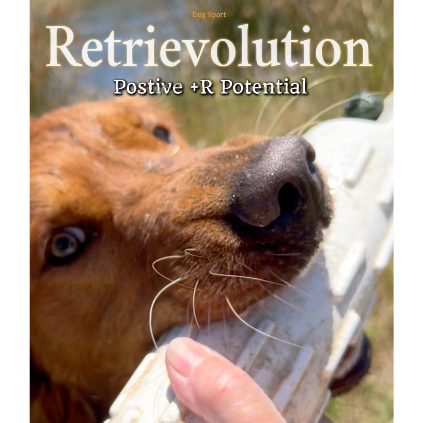 Retrievolution