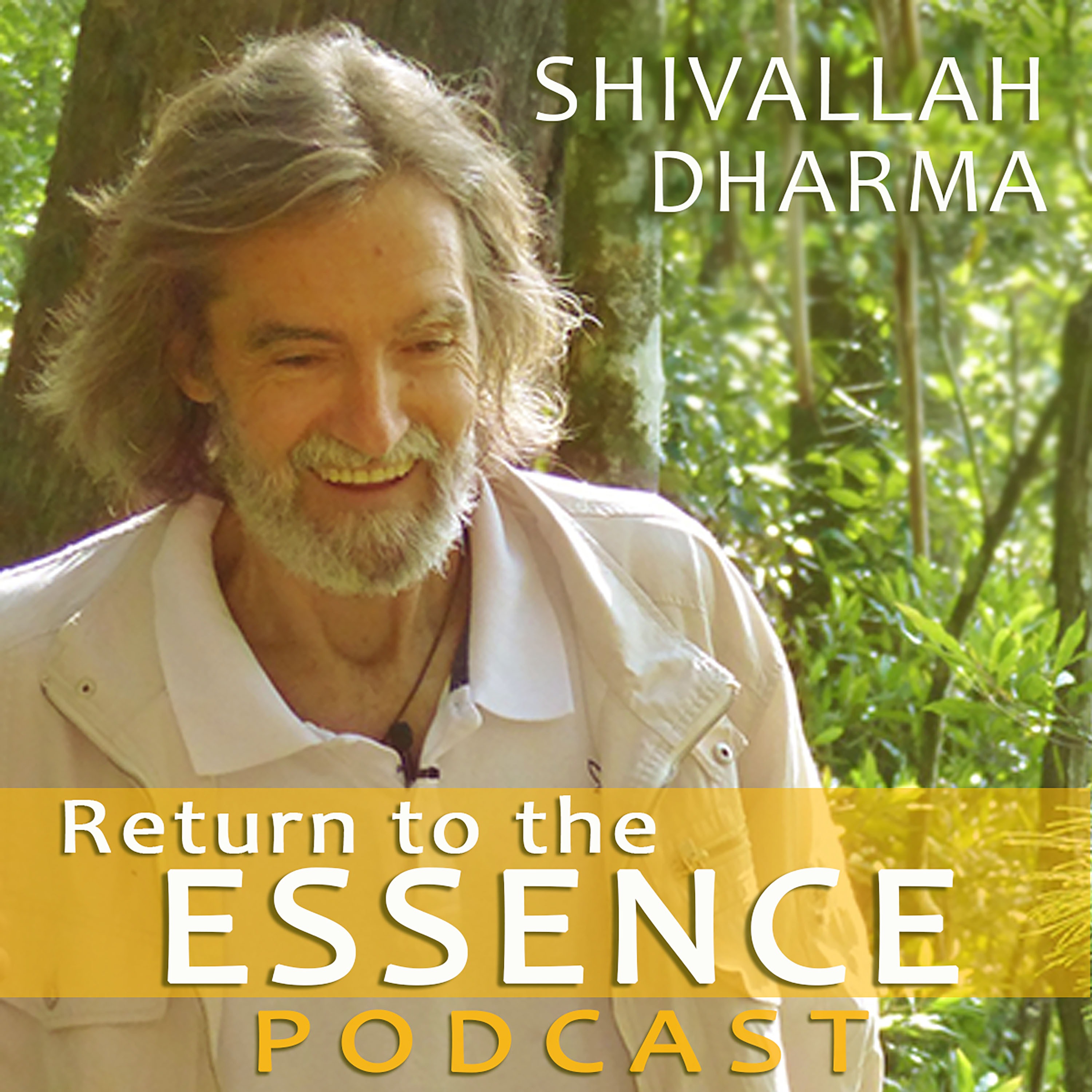 Return to the Essence: Welcome the Sounds of Nature