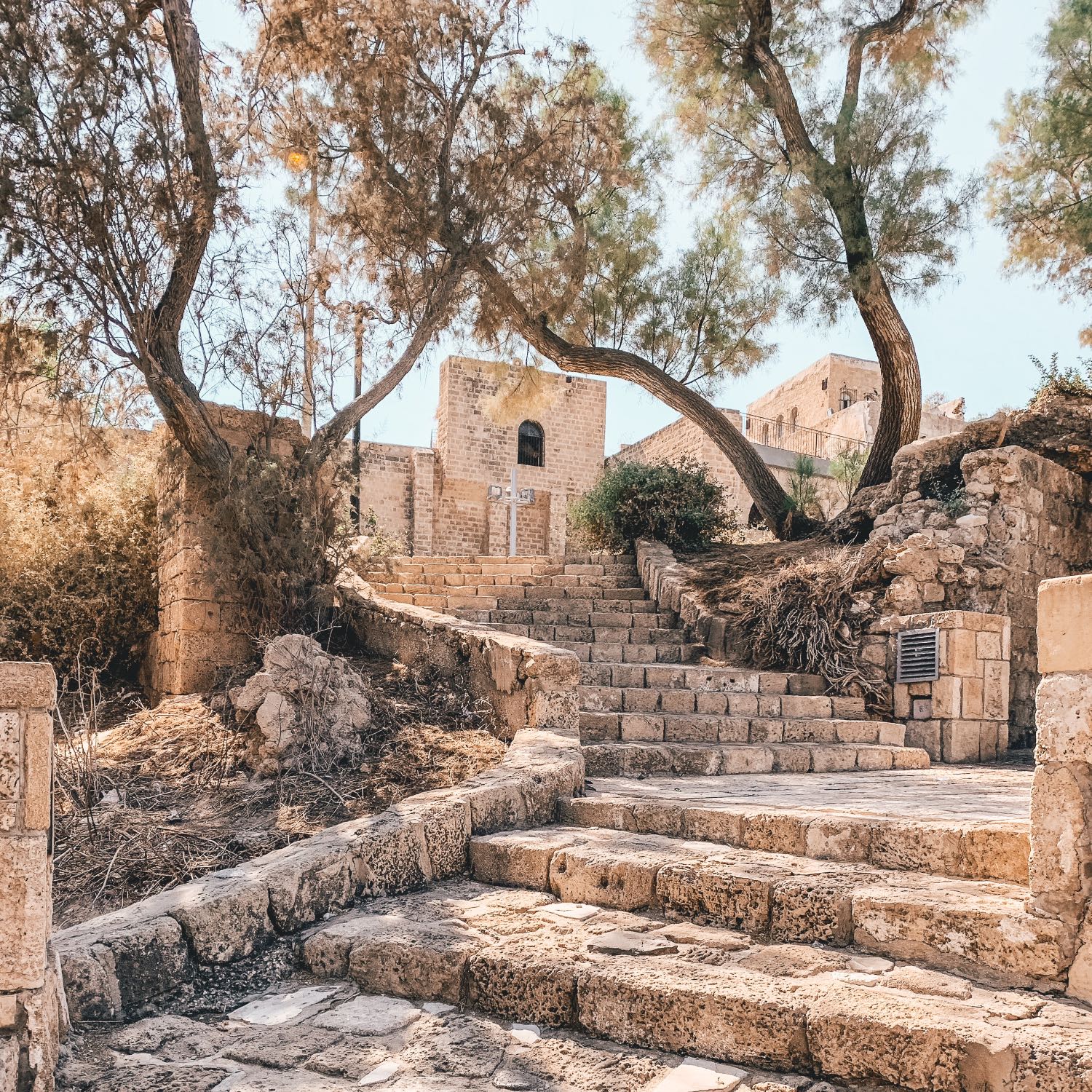 The nation of Israel Part 3