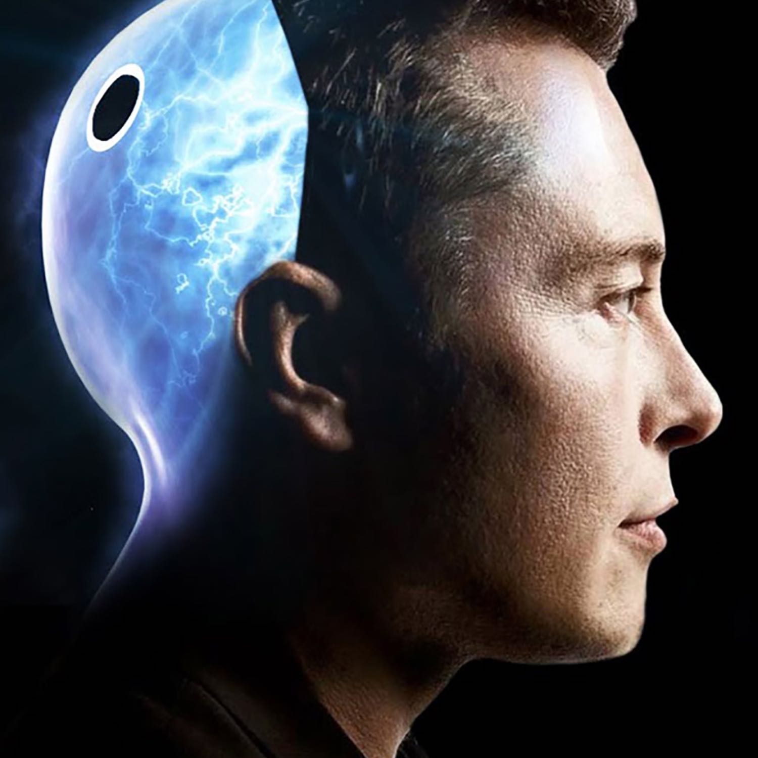 The Big Players - Elon Musk