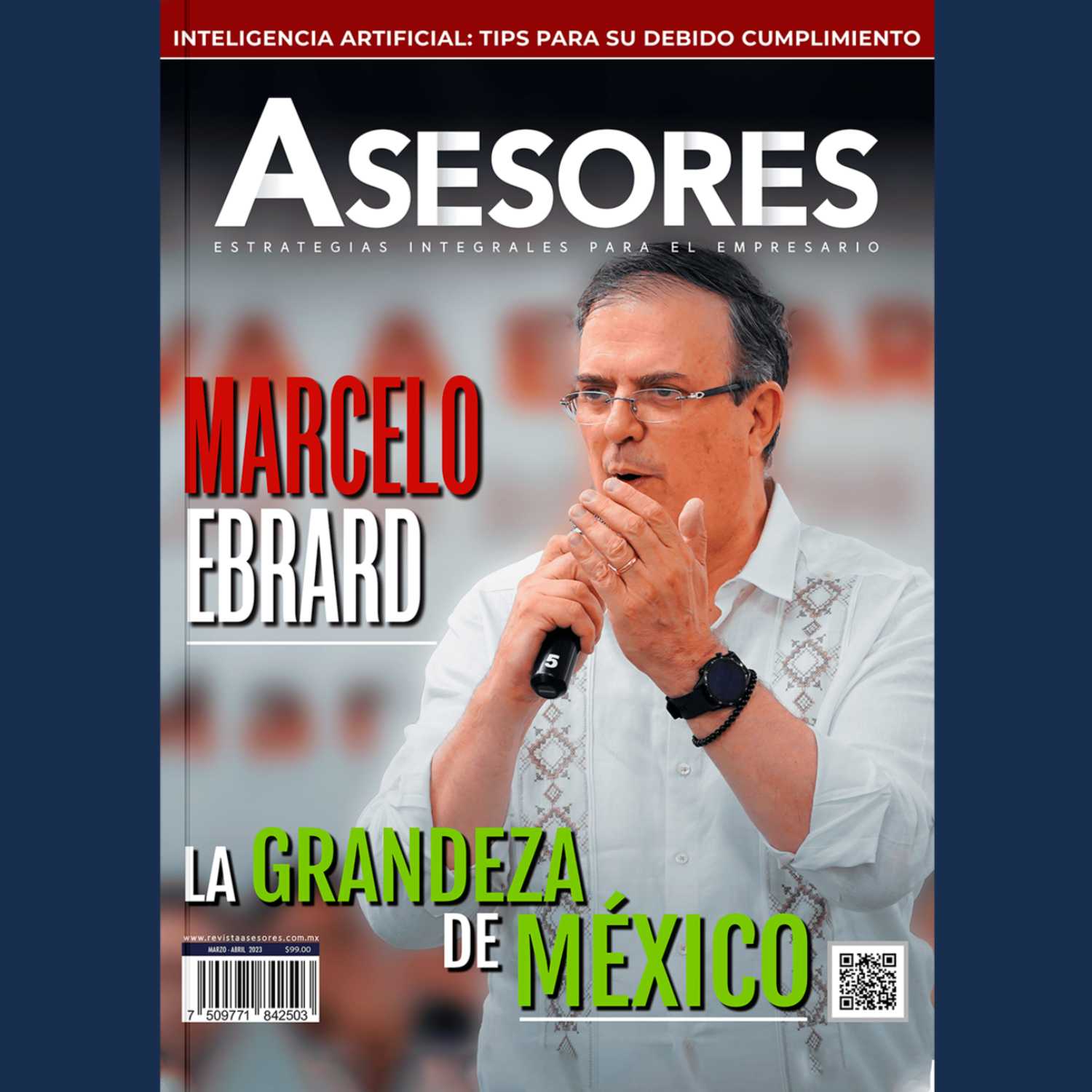 Revista Asesores