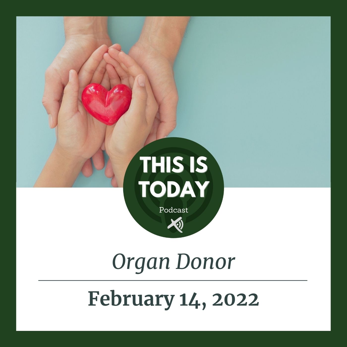 Organ Donor