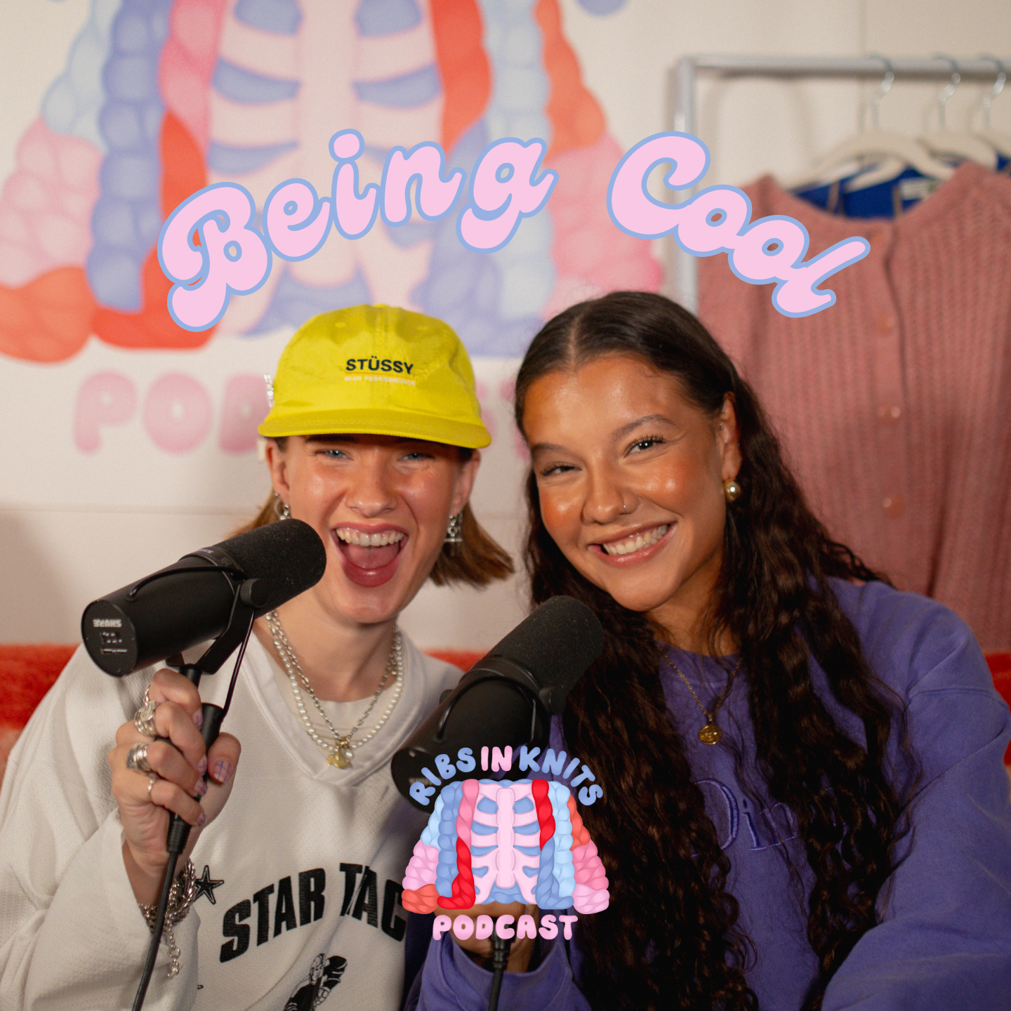 Ribs And Knits Podcast