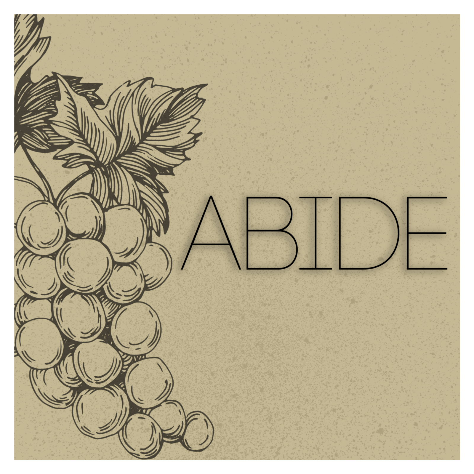 Why not Abide? (John 15:1-11)