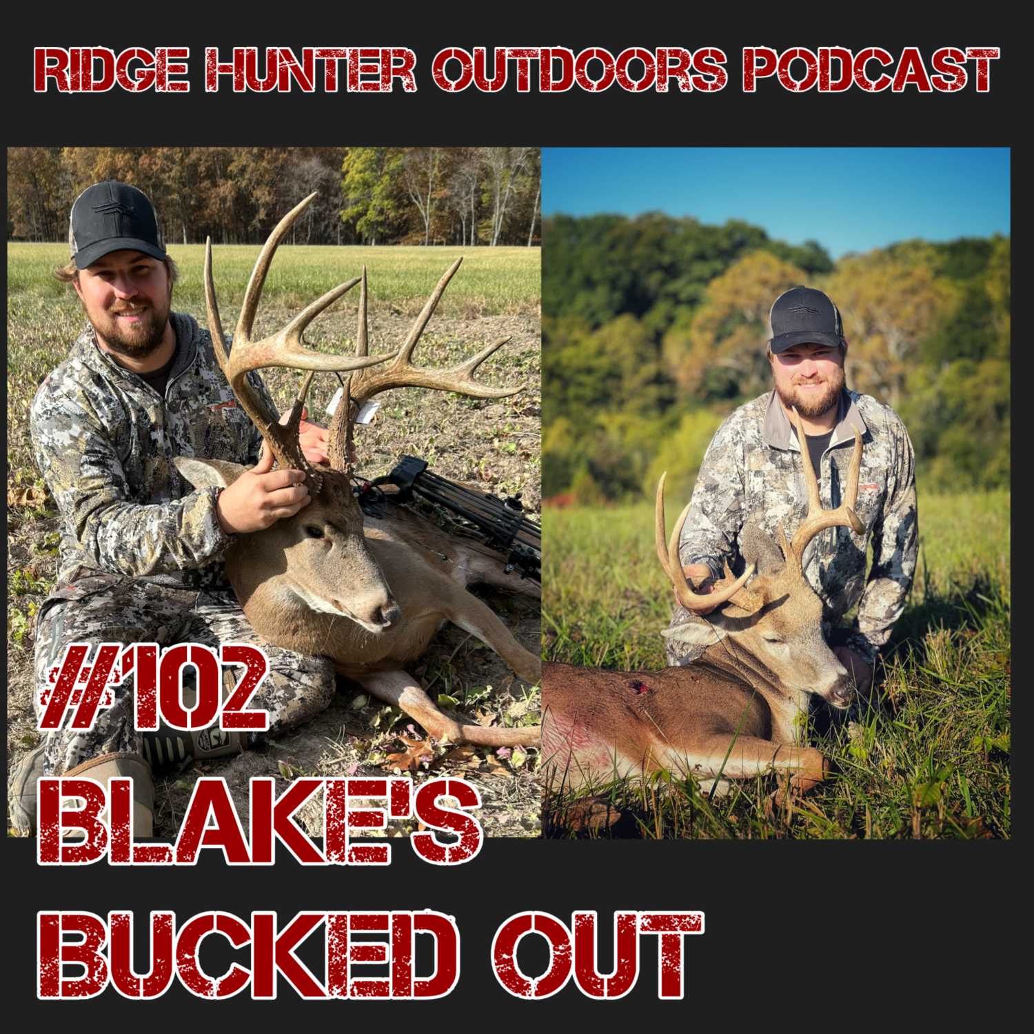 RHO Podcast