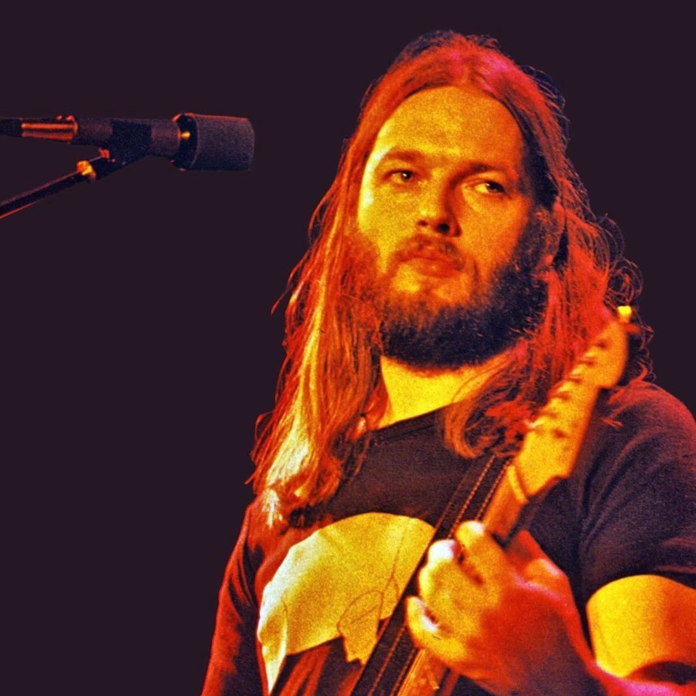 Pigs (Three Different Ones) - Live 1977