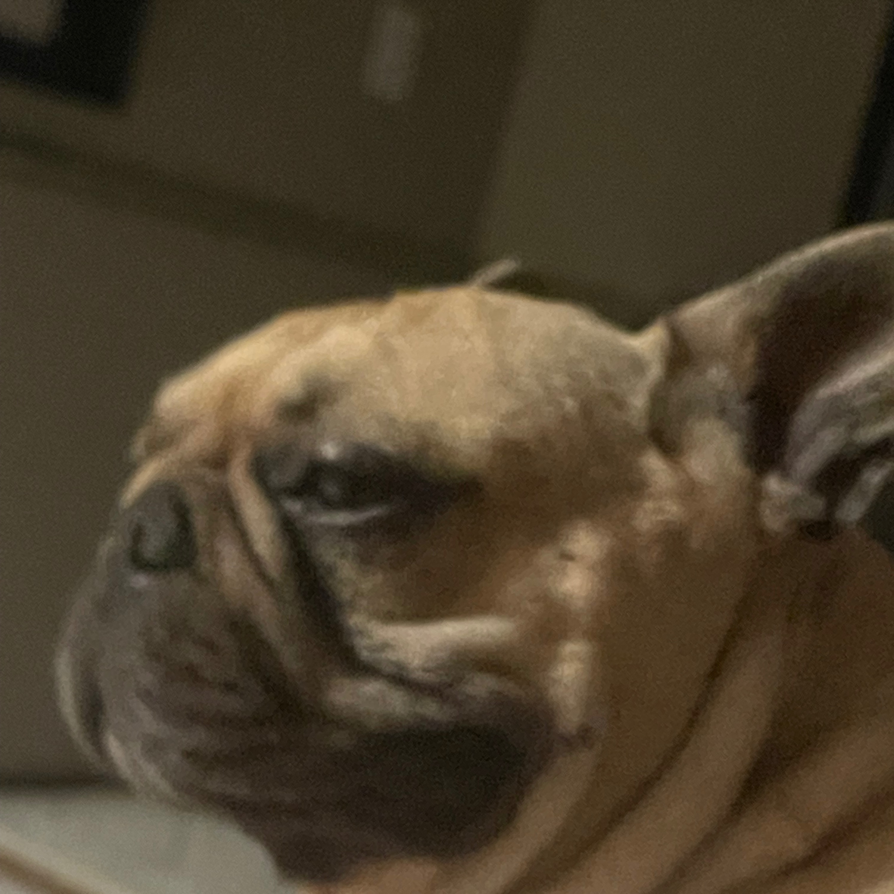 …..