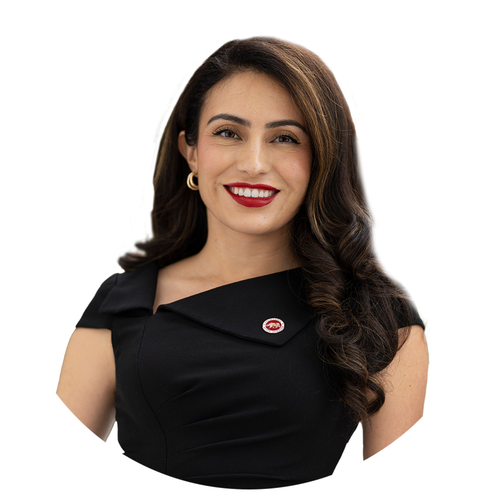 Sasha Renee Perez, California State Senator episode artwork