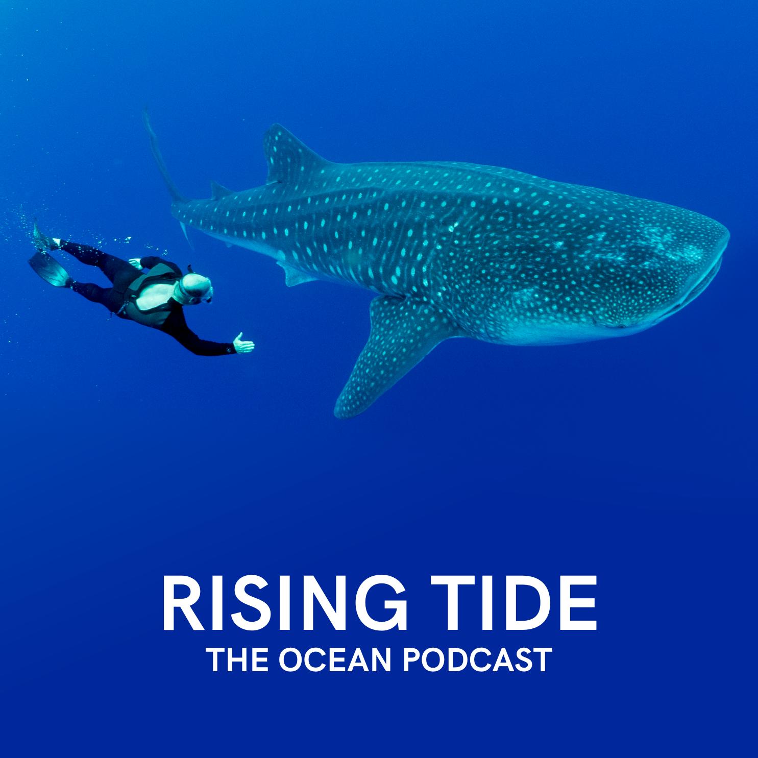 George Leonard on Trump’s Anti-Ocean Bill